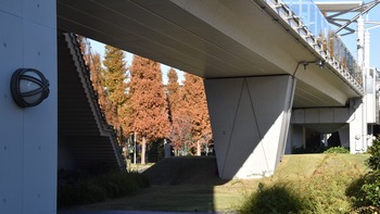 10話 A-011 東京ビッグサイト庭園 DSC_0757*