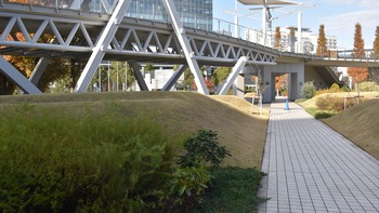 10話 B-016 東京ビッグサイト庭園 DSC_0731*