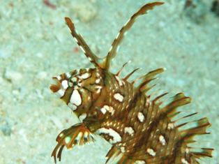 e676a73c.jpg