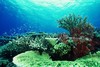 cd2b2f05.jpg