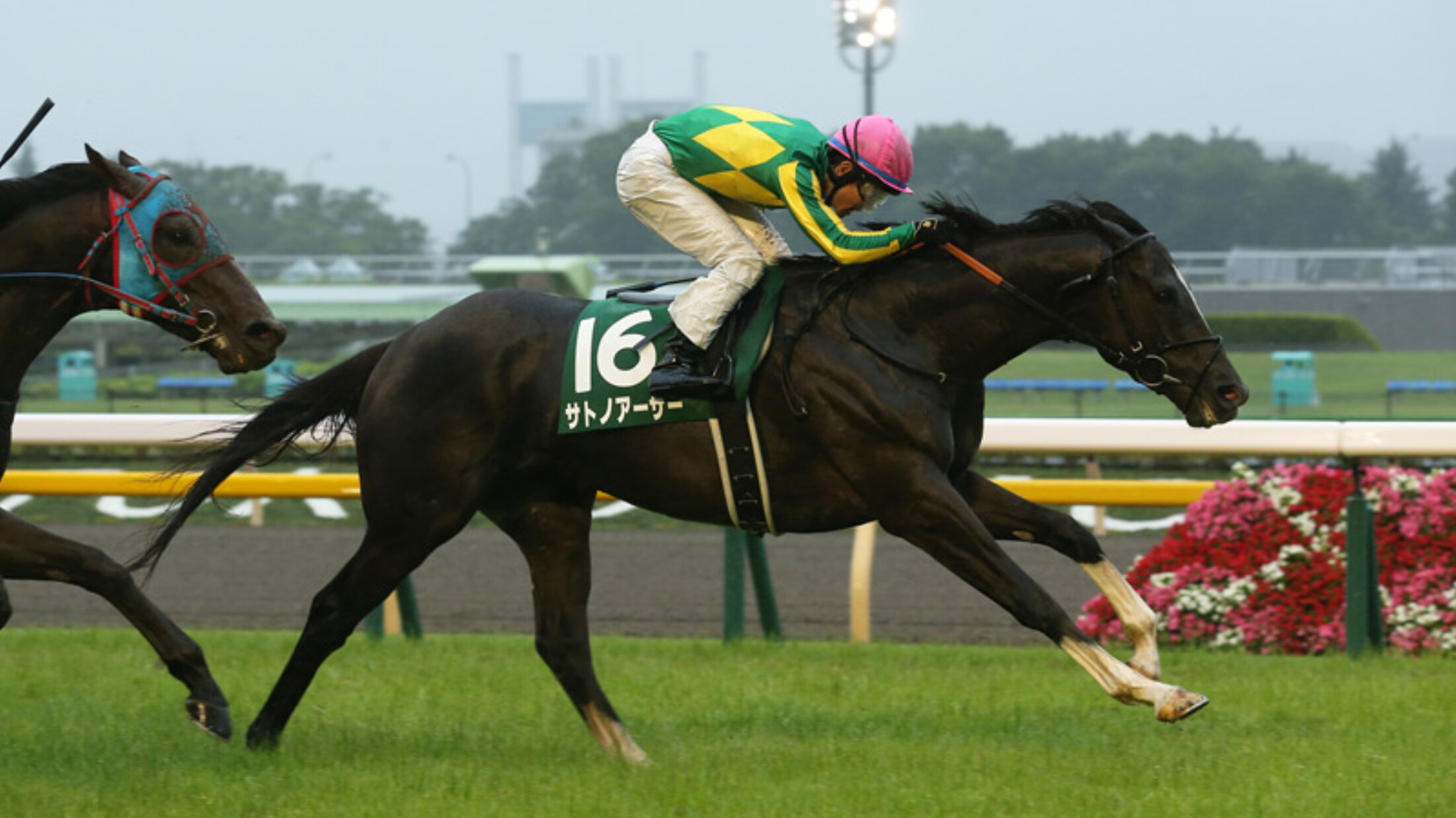 Epsom_Cup_2018