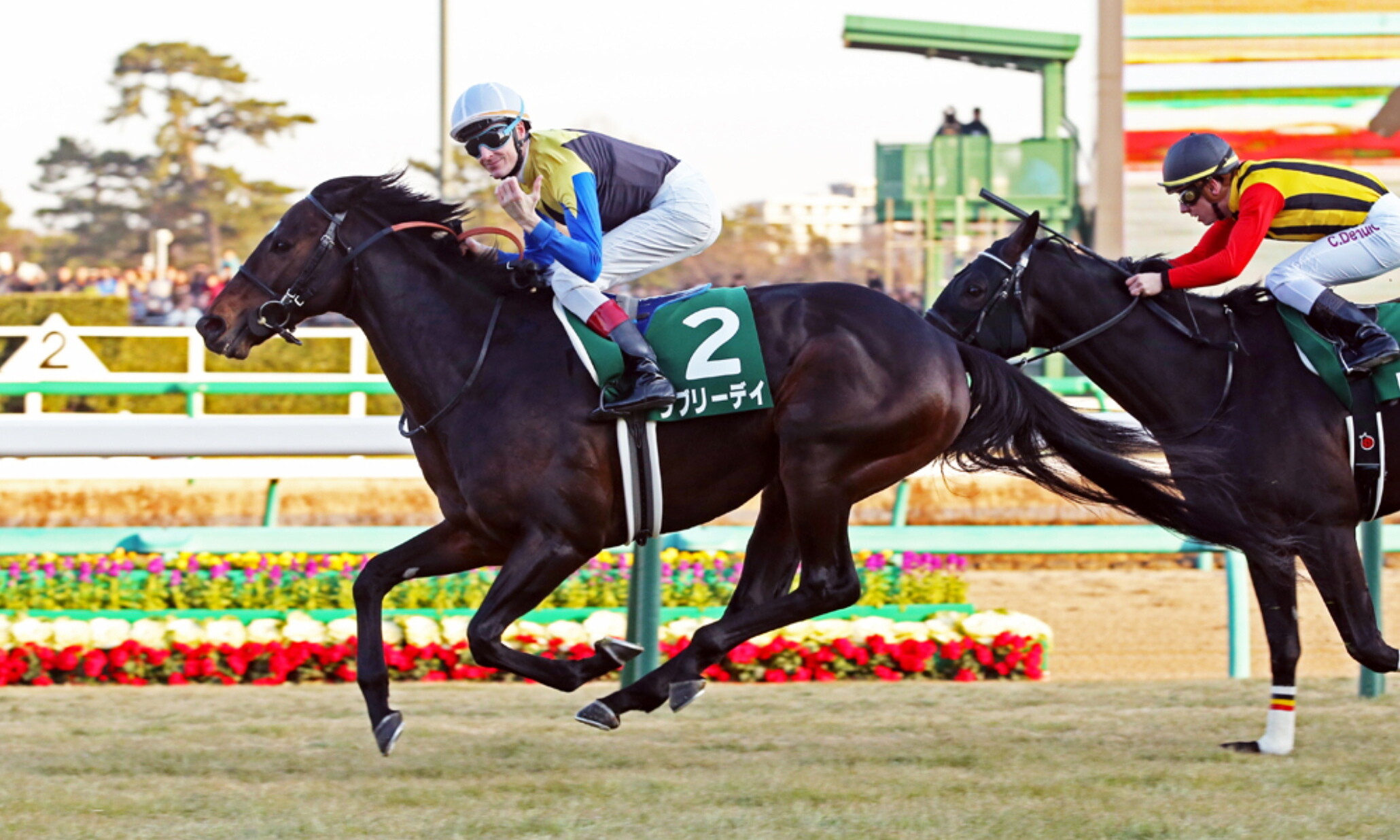 Francis_Berry_with_Lovely_Day