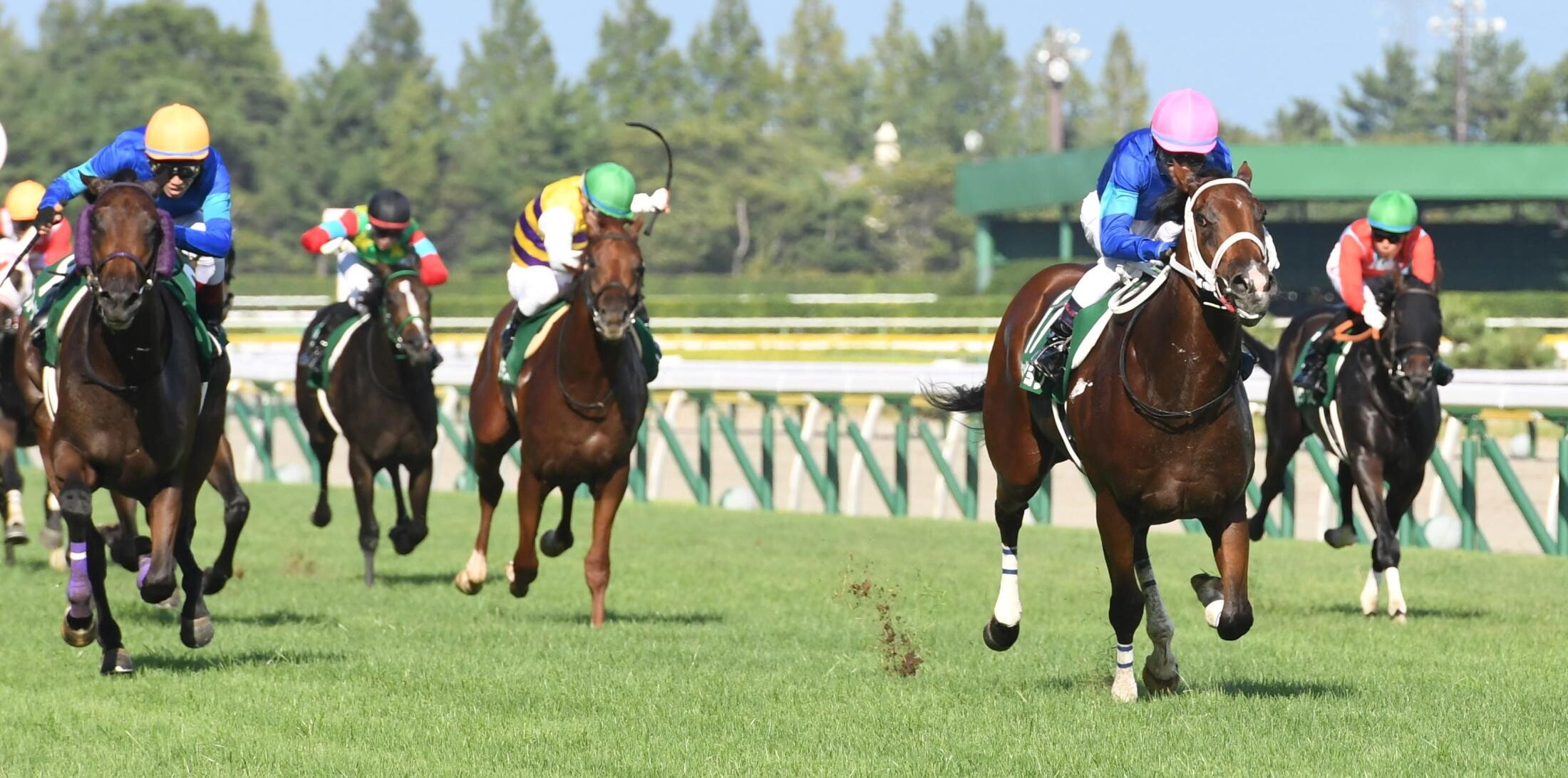 Niigata_nisai_Stakes_2020