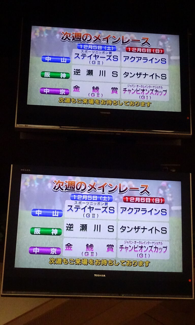 イメージ 14