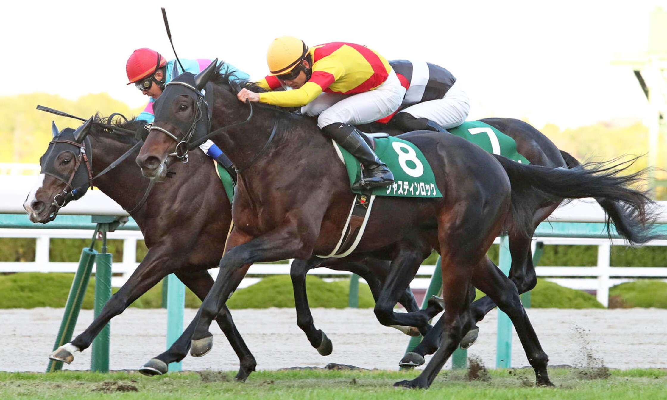 Radio_NIKKEI_hai_Kyoto_Nisai_Stakes_2021