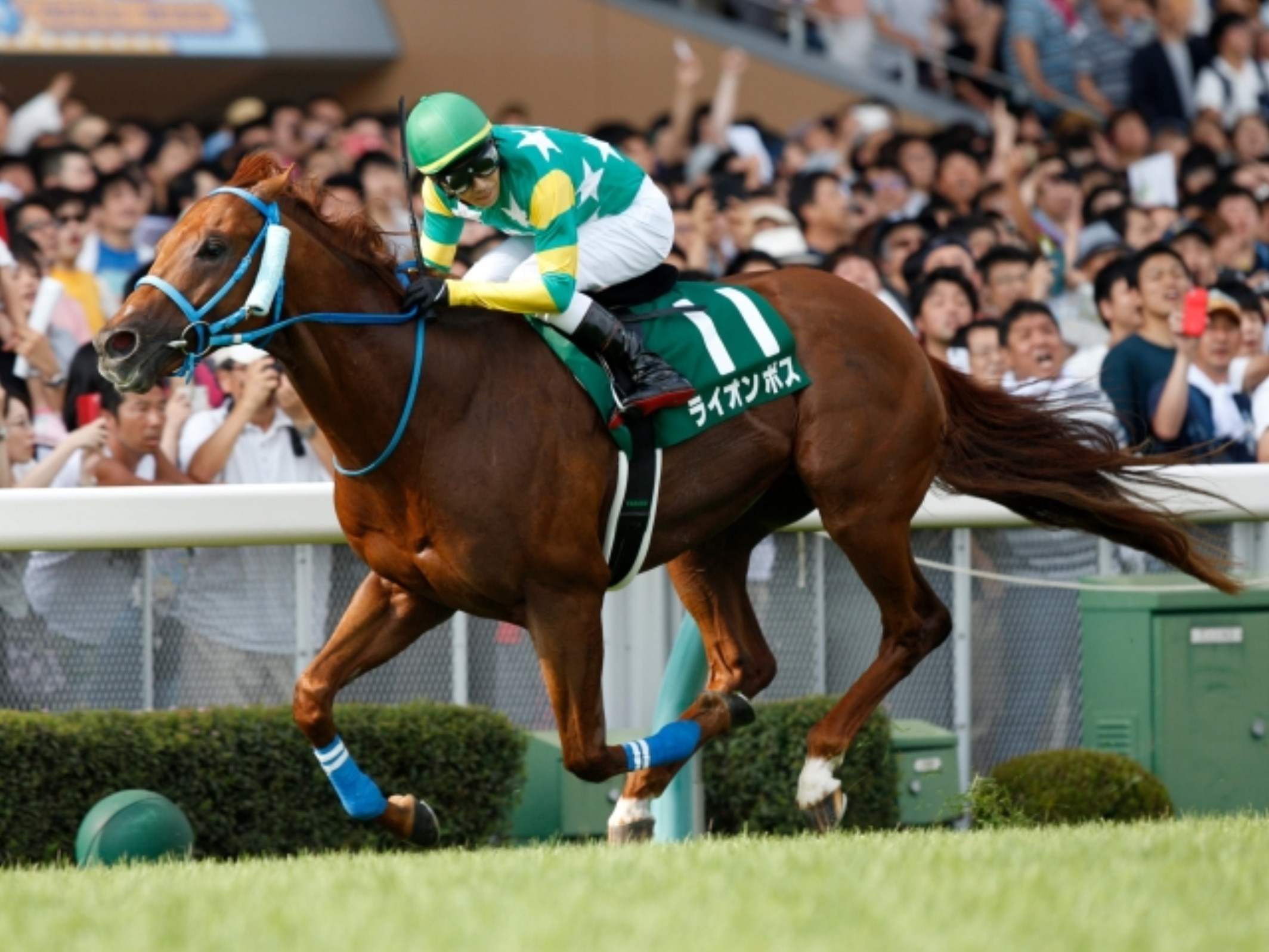 Hironobu_Tanabe_with_Lion_Boss