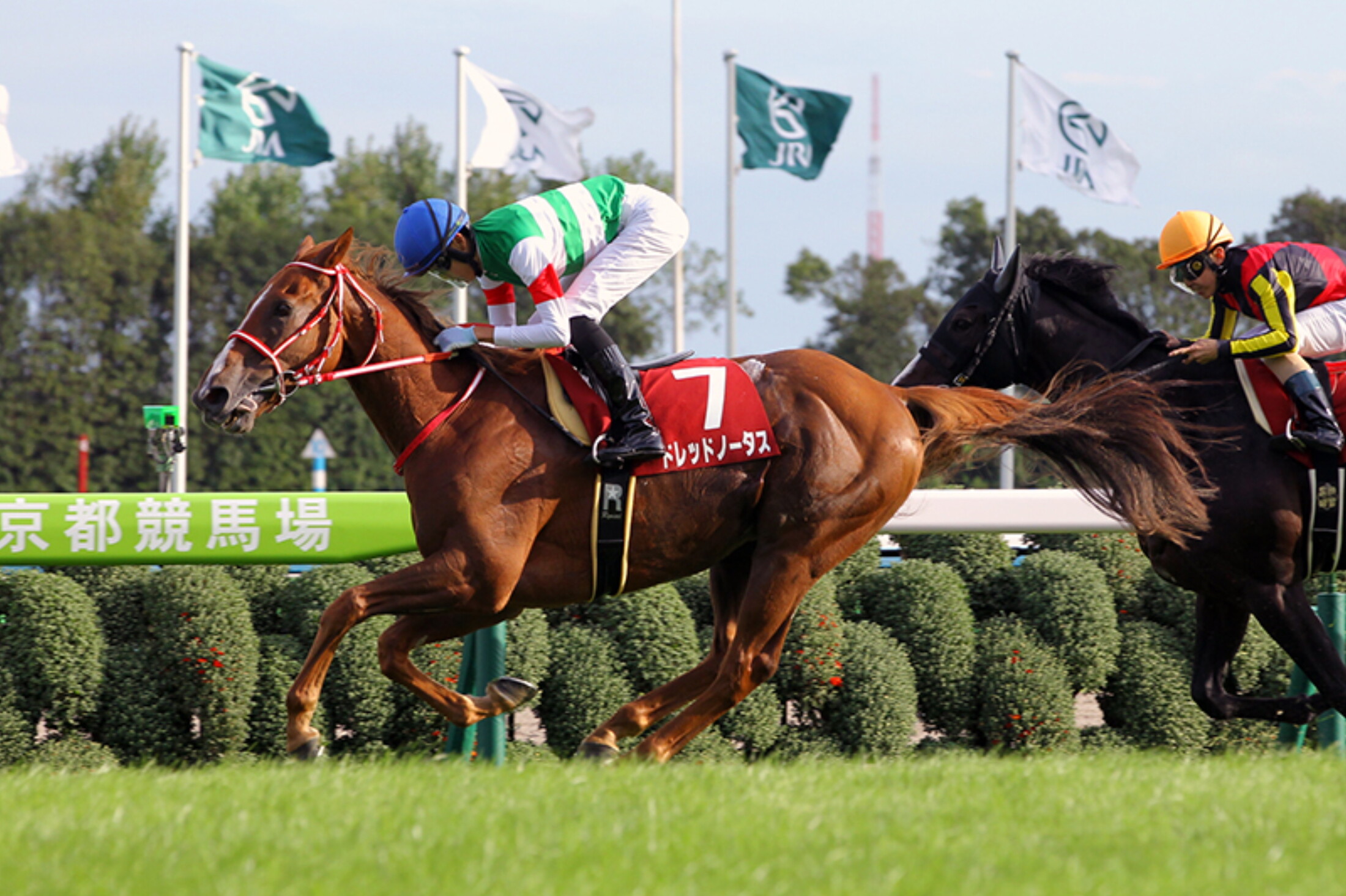 Kyoto_Daishoten_2019