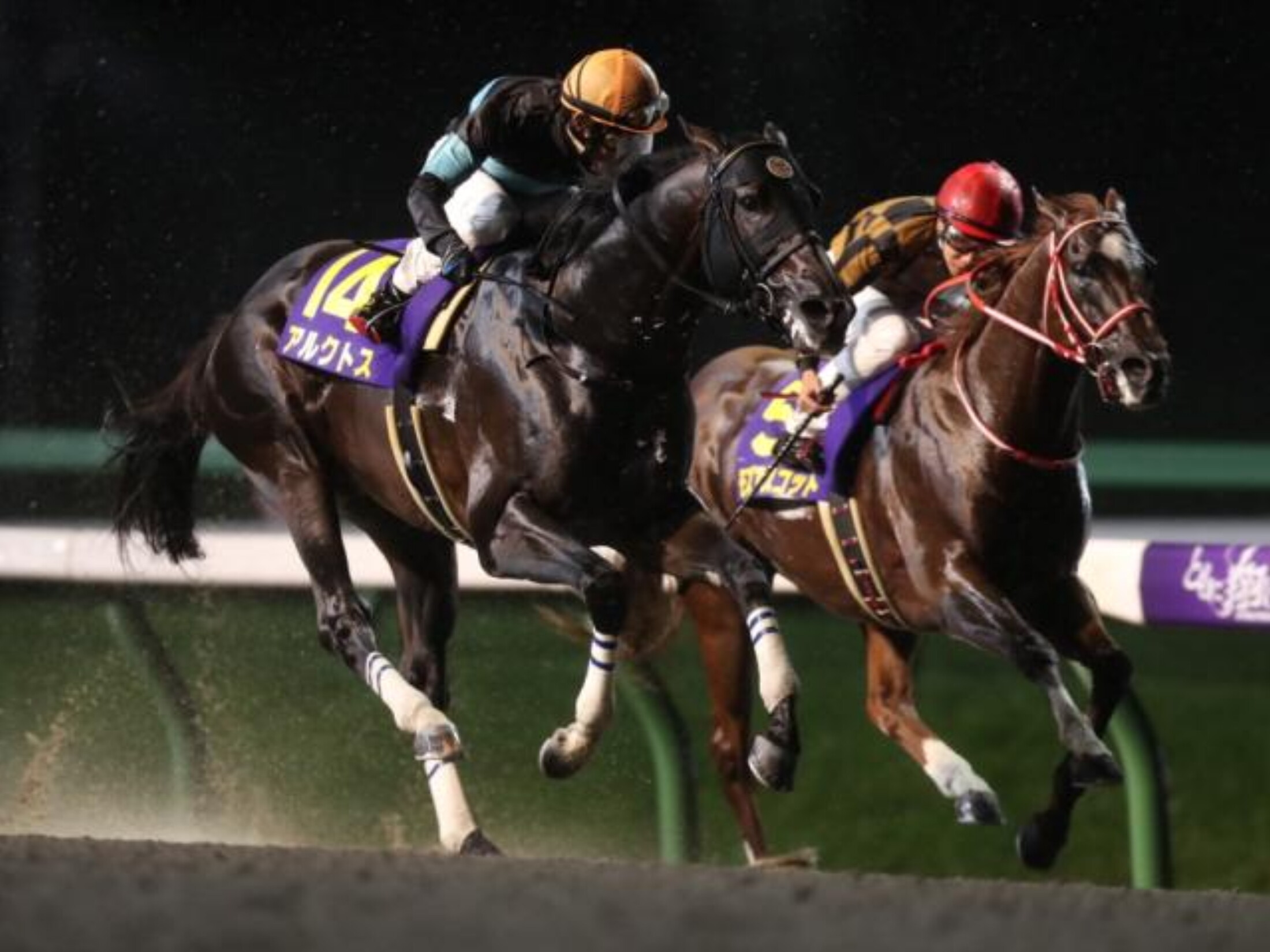 Mile_Champion_Ship_Nambuhai_2020