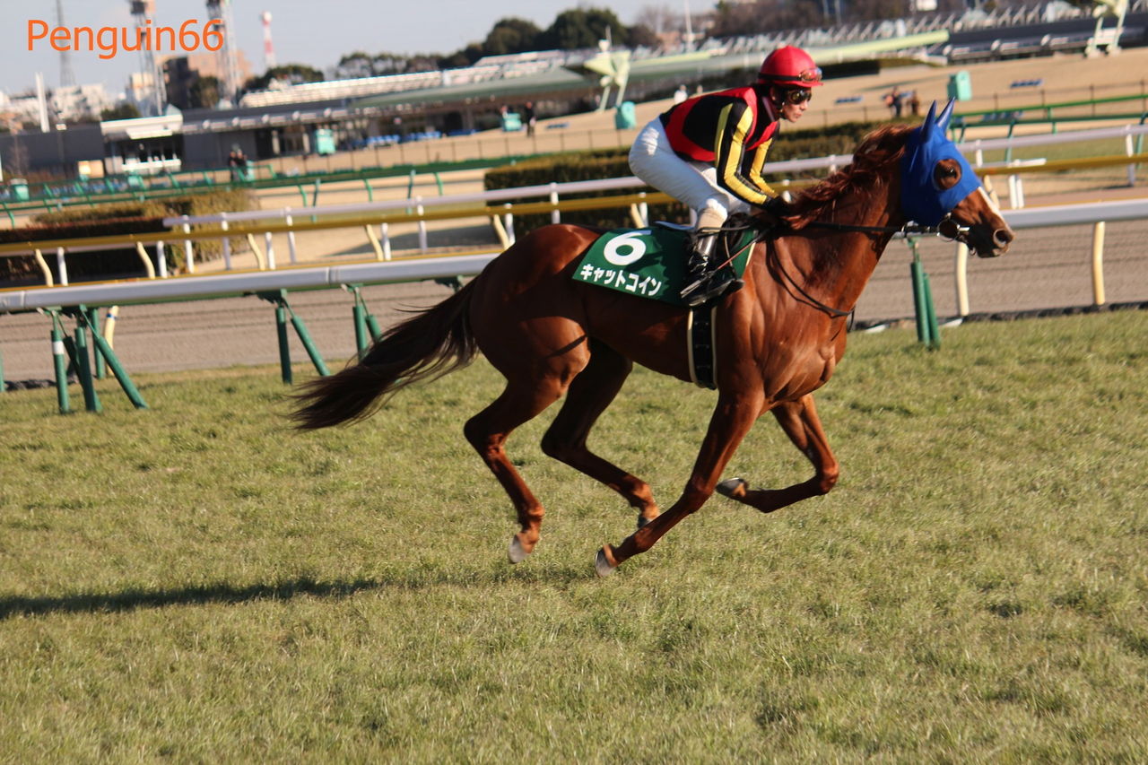 デイリー杯クイーンカップ(GⅢ)の結果 TAKESHI~鉄道と競馬が好き~ デイリー杯クイーンカップ(GⅢ)の結果 TAKESHI~鉄道と競馬が好き~