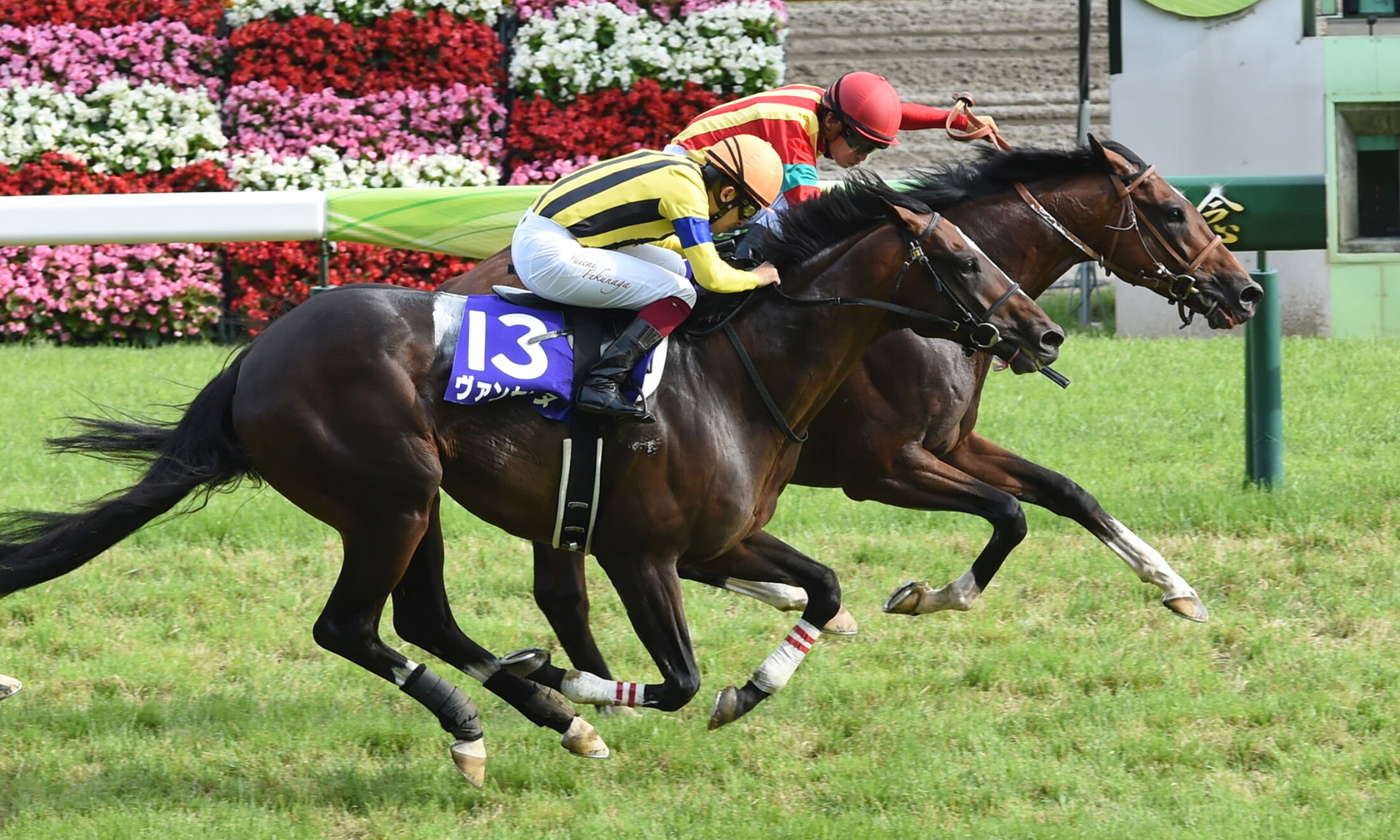 Yasuda_Kinen_2015
