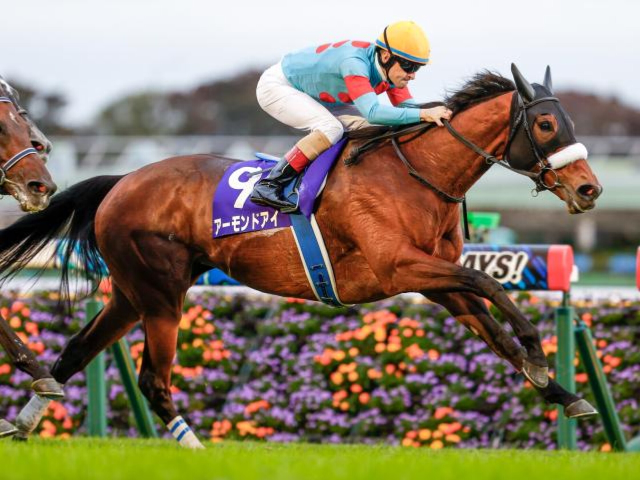 Tenno_sho(Autumn)_2020