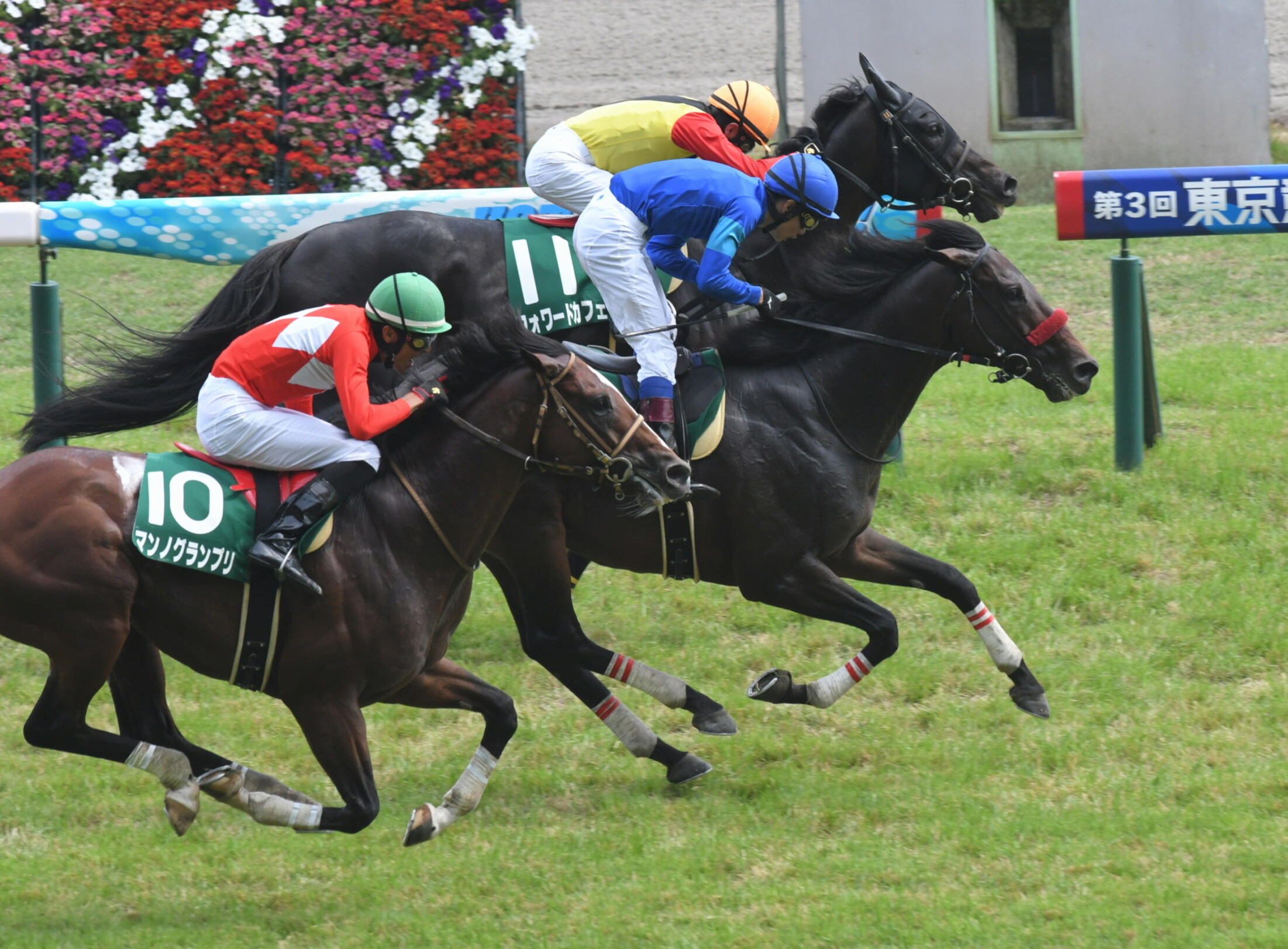 Tokyo_Jump_Stakes_2020