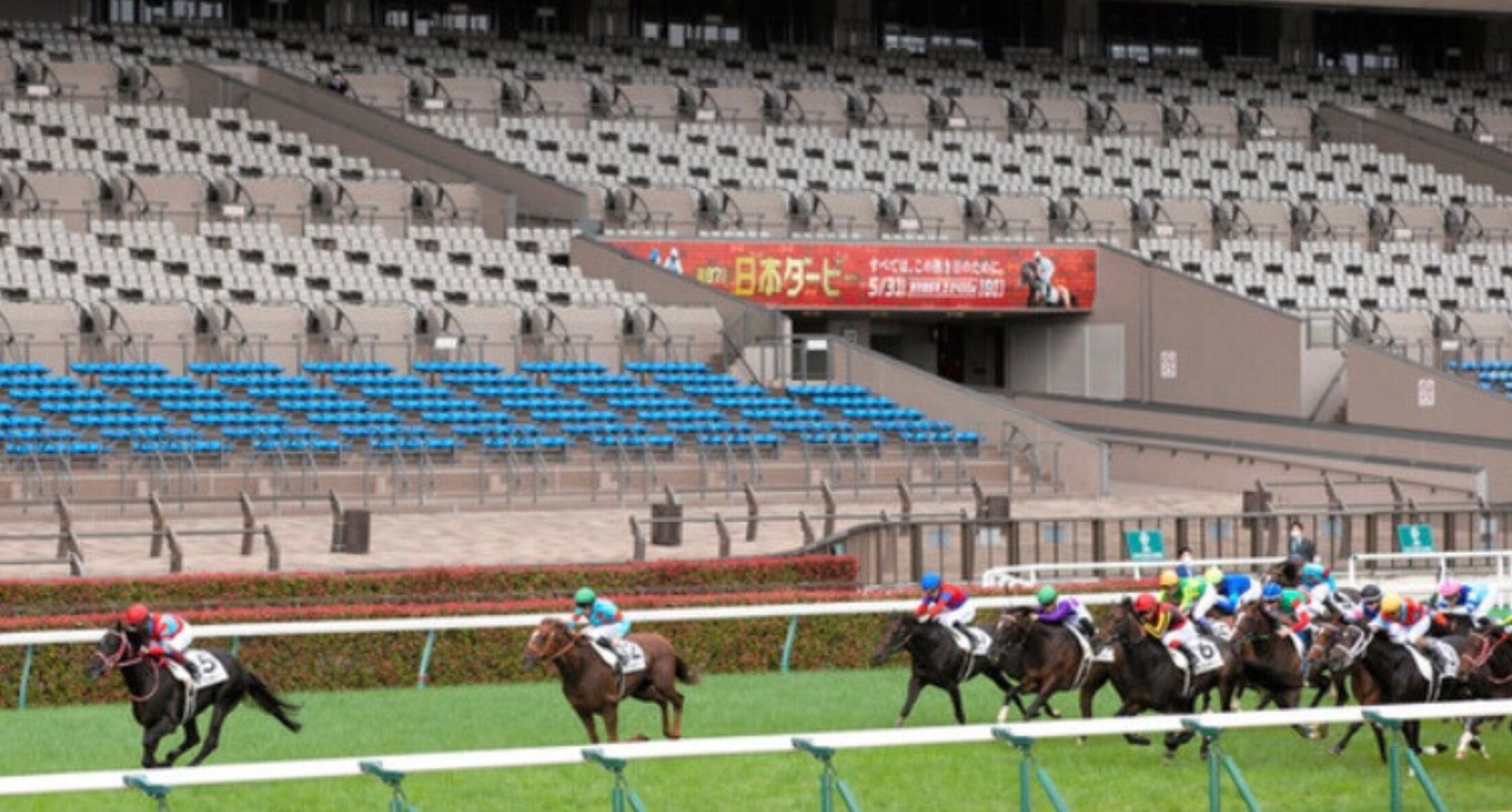 Nippon_Derby_2020