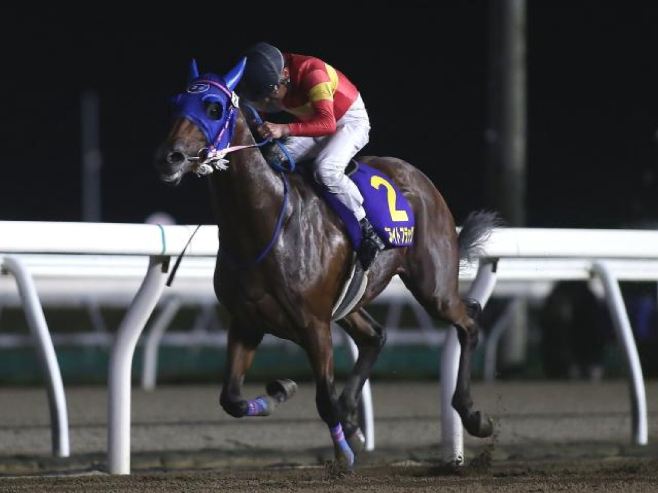 Breeders_Gold_Junior_Cup_2020