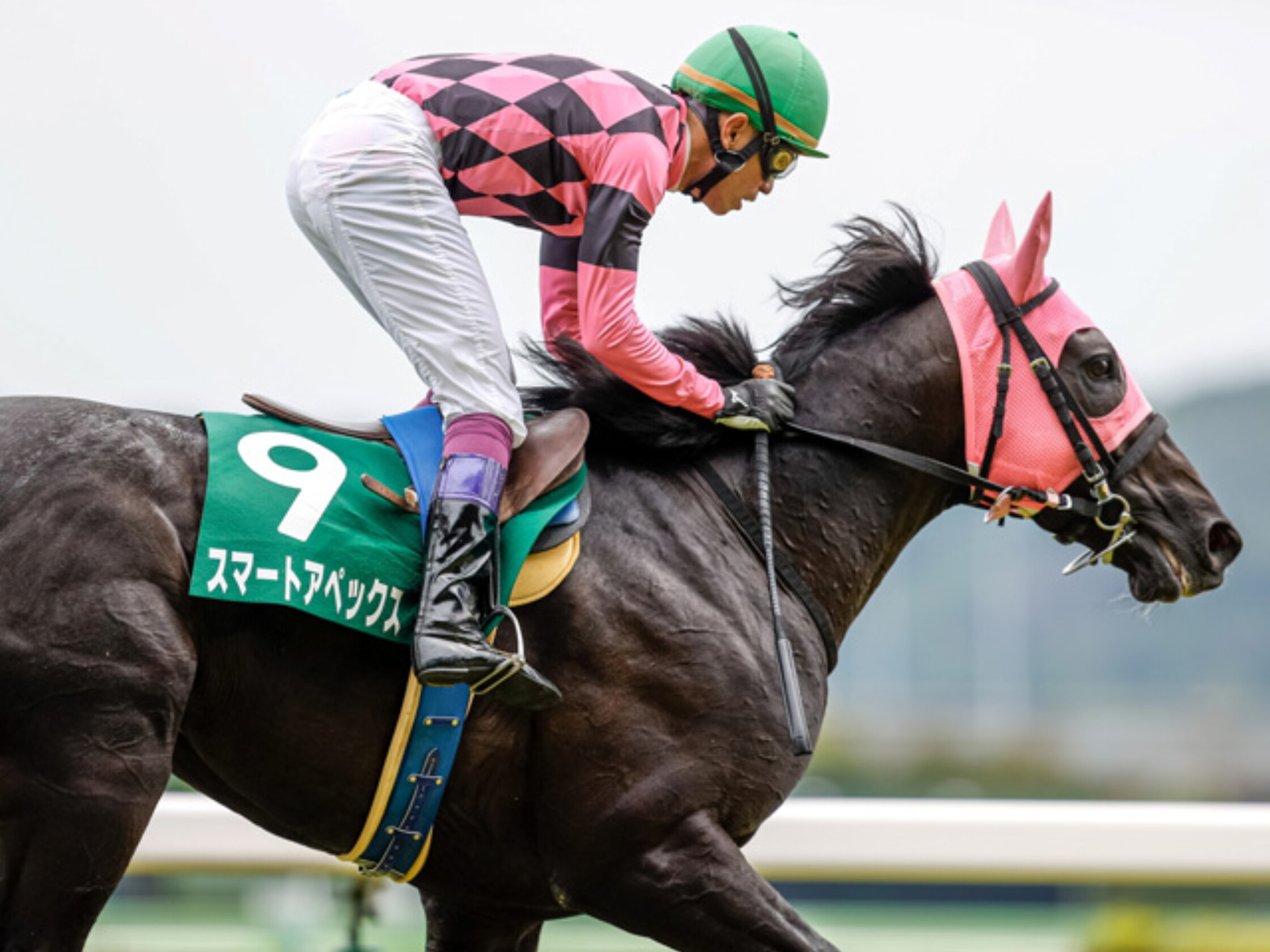 Tokyo_Jump_Stakes_2021