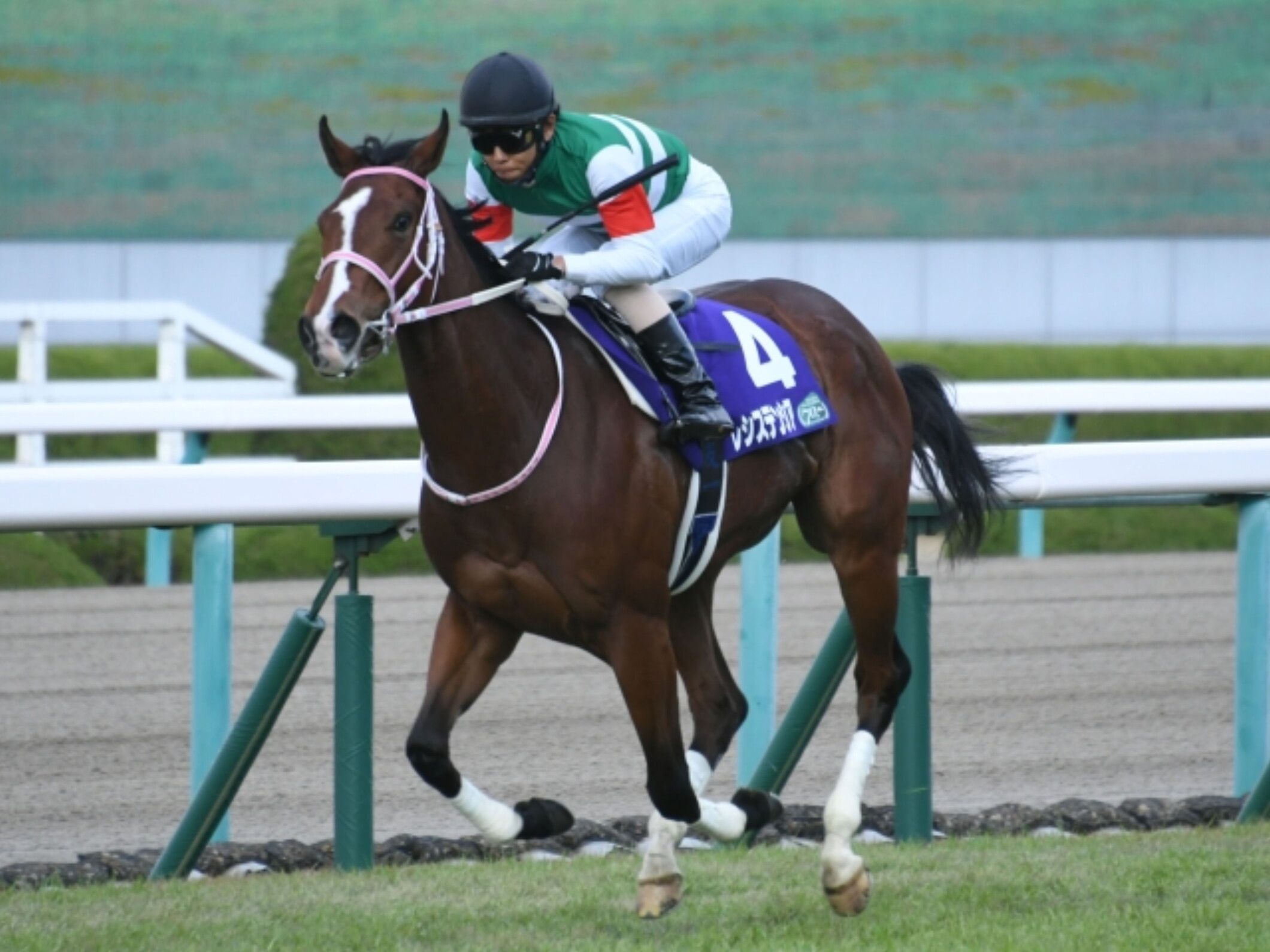 Yuichi Kitamura with Resistencia