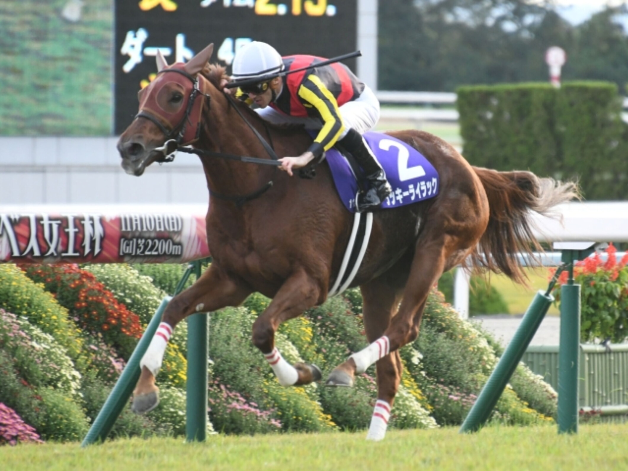 Christophe Soumillon with Lucky Lilac