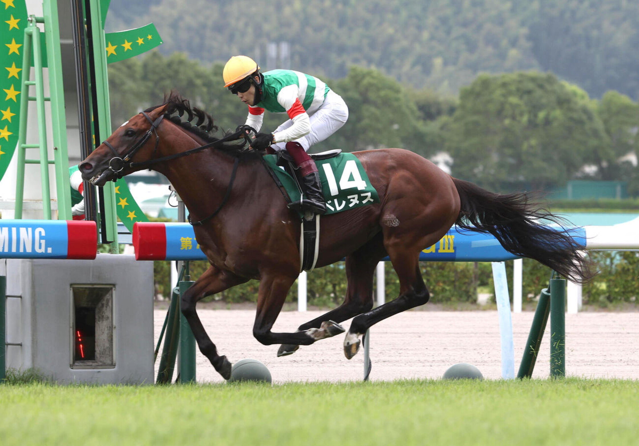 TOYOTA_sho_Chukyo_Kinen_2022