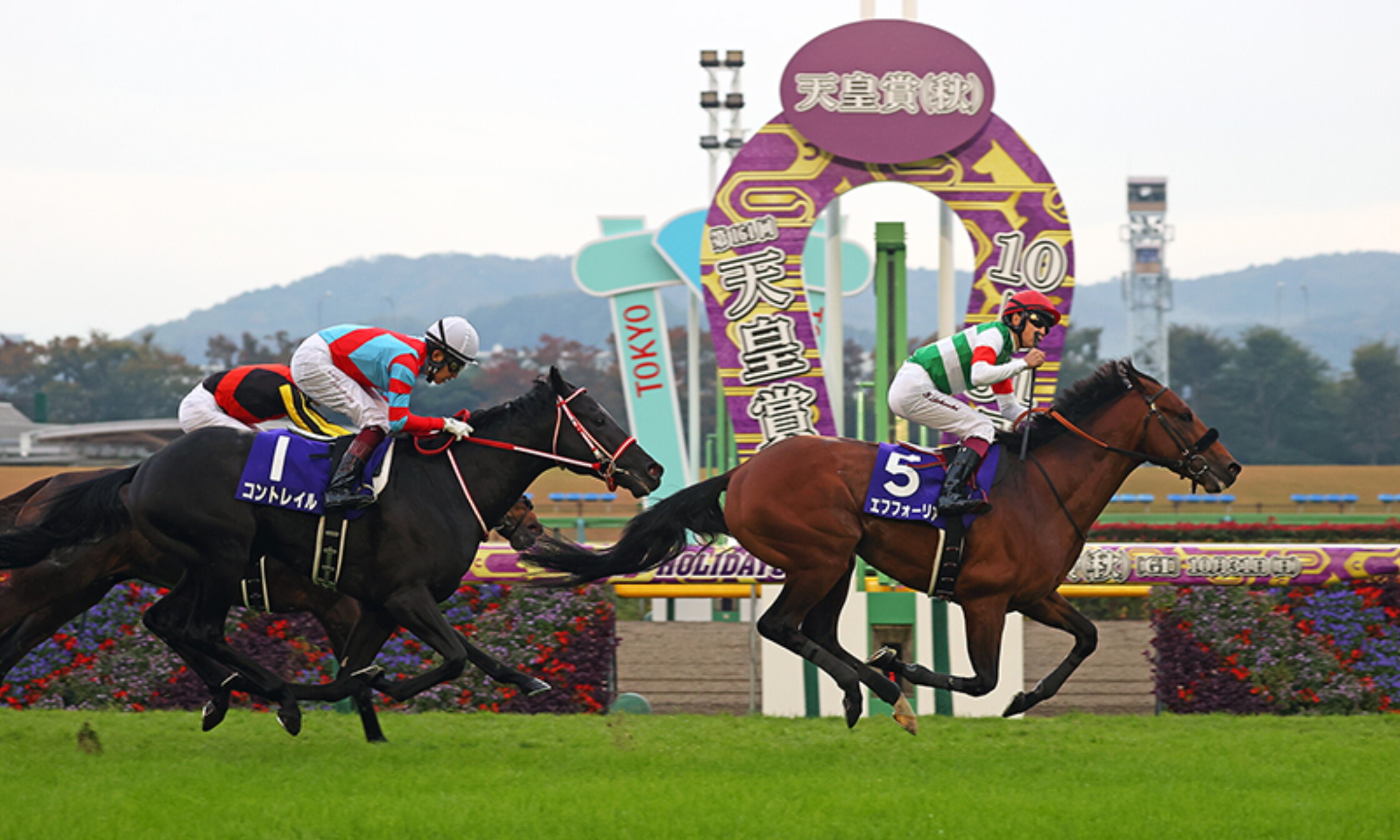Tenno_sho(Autumn)_2021