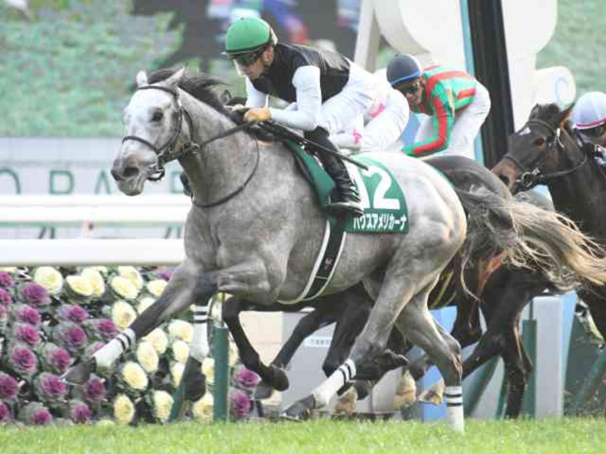 Yuga_Kawada_with_Pax_Americana