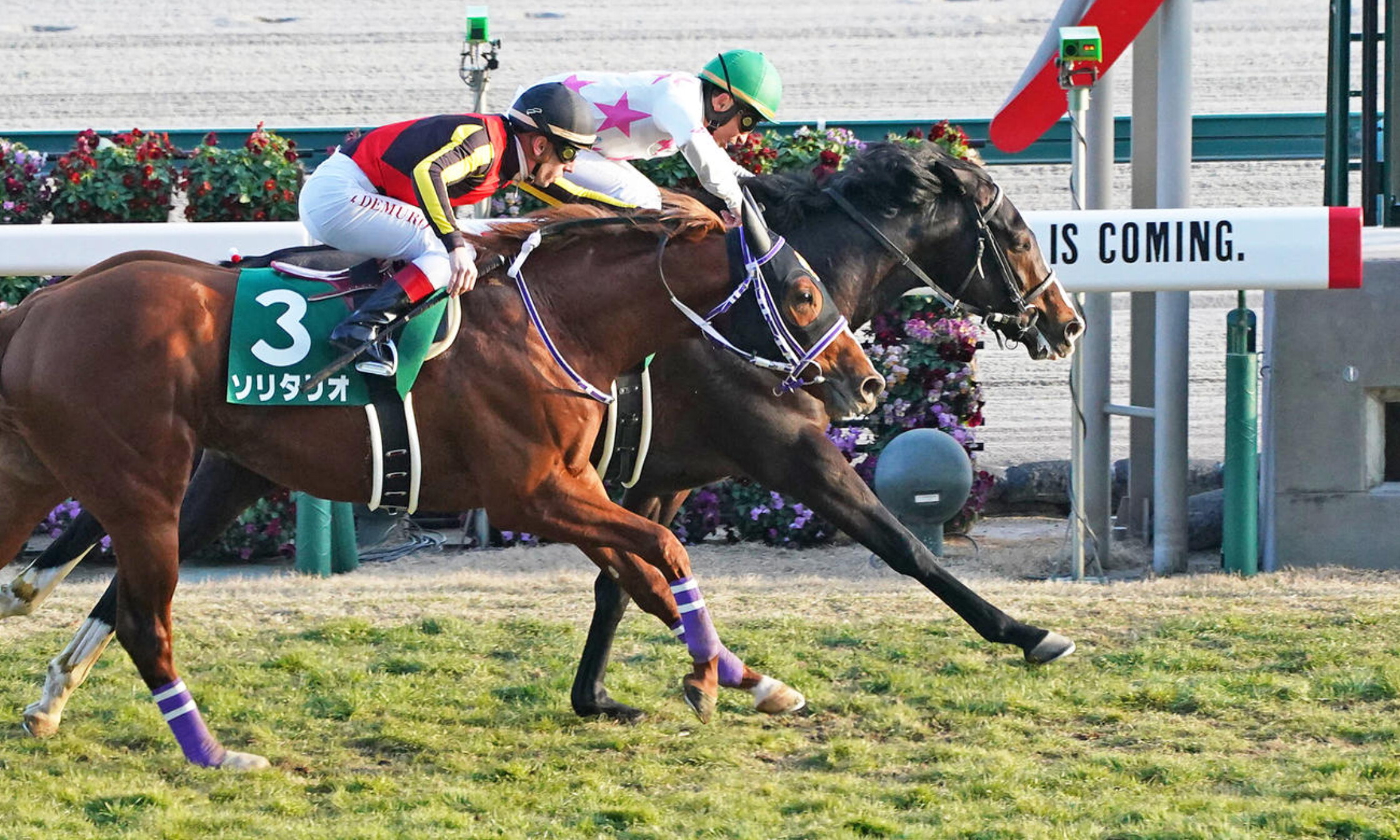 Shinzan_Kinen_2022