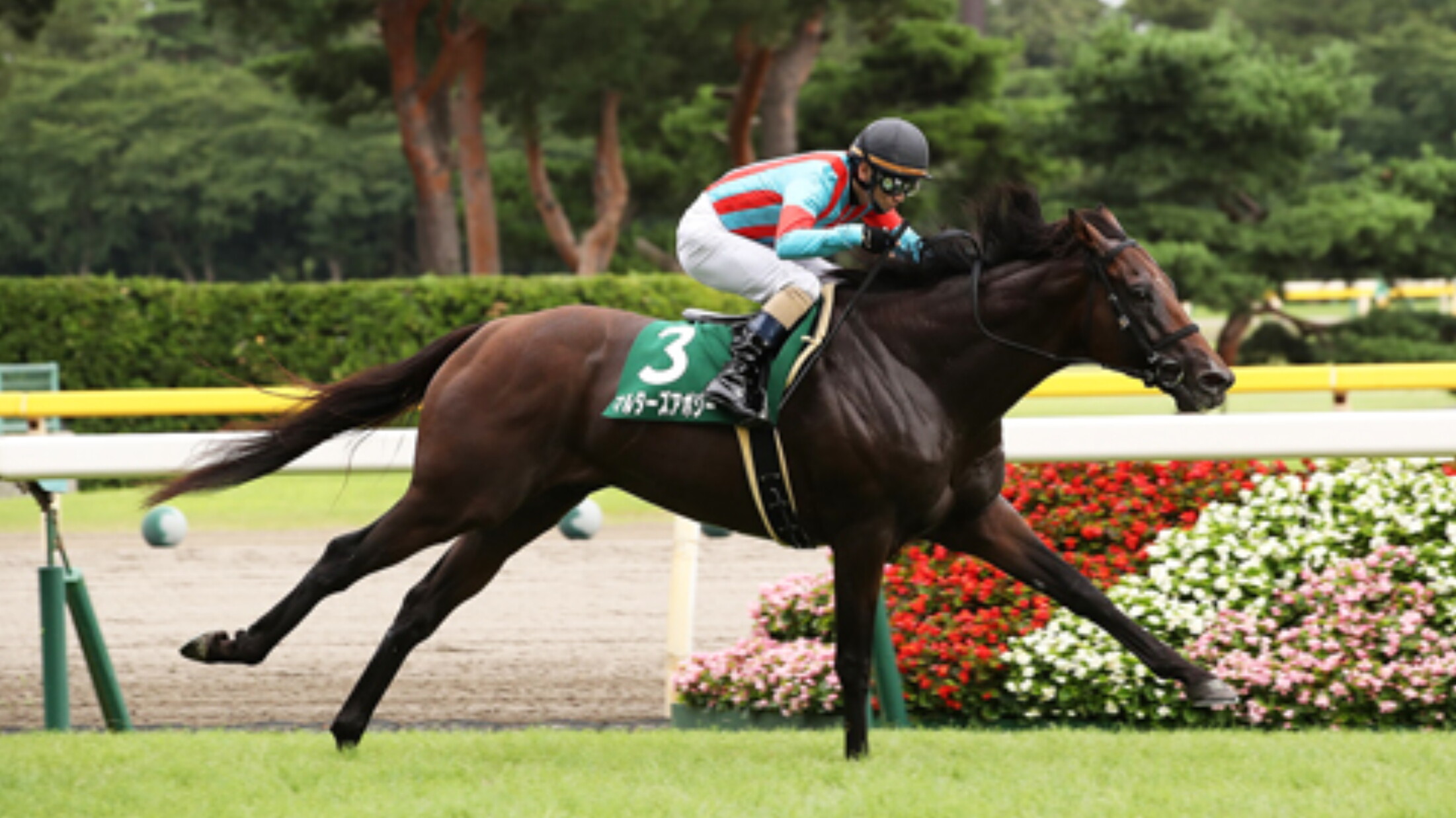 Sekiya_Kinen_2017