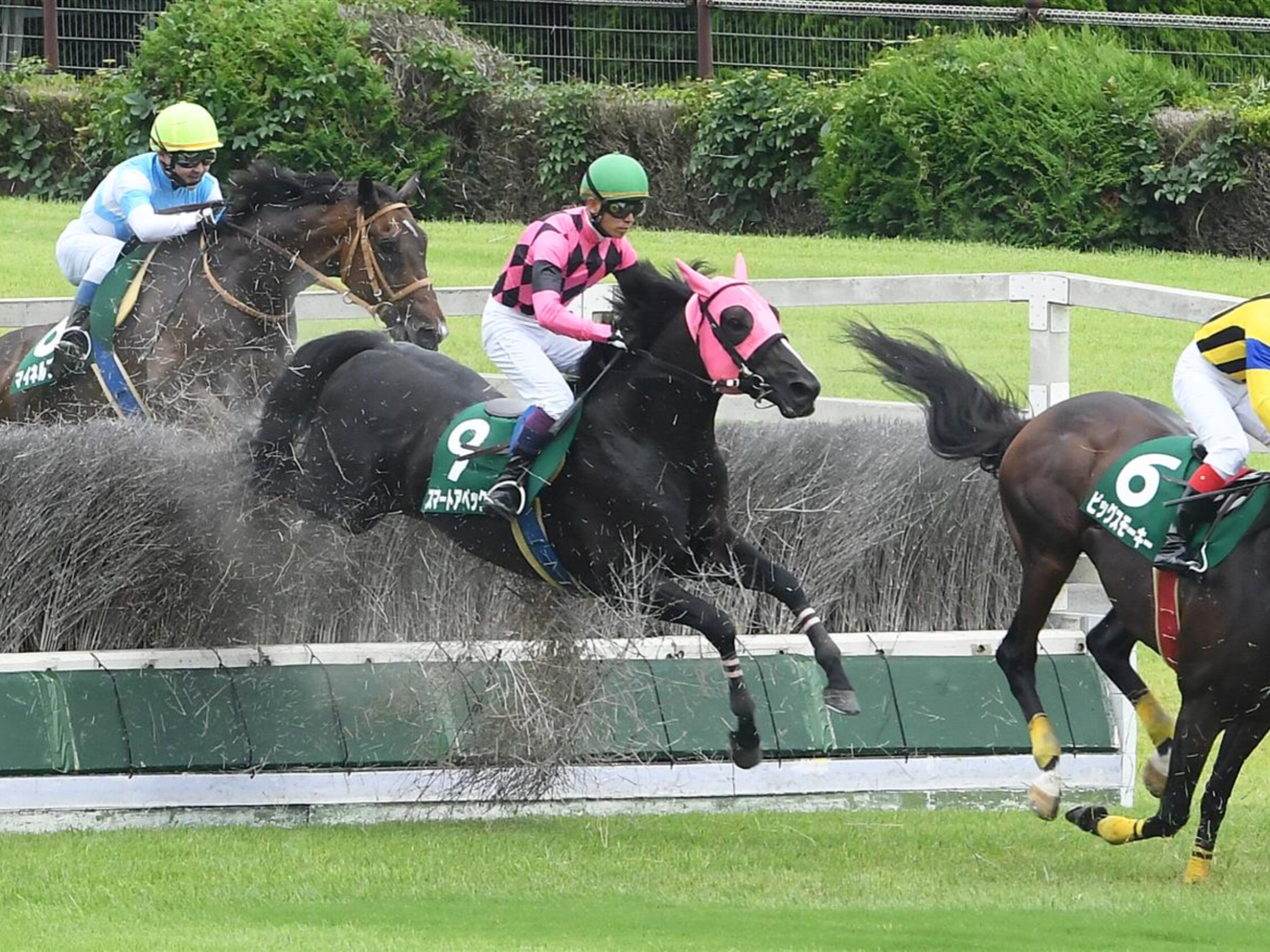 Tokyo_Jump_Stakes_2021