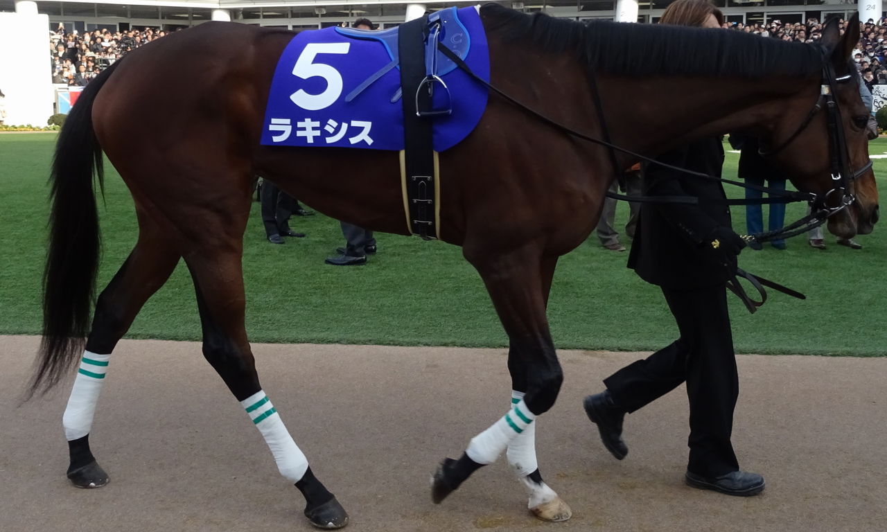 イメージ 15