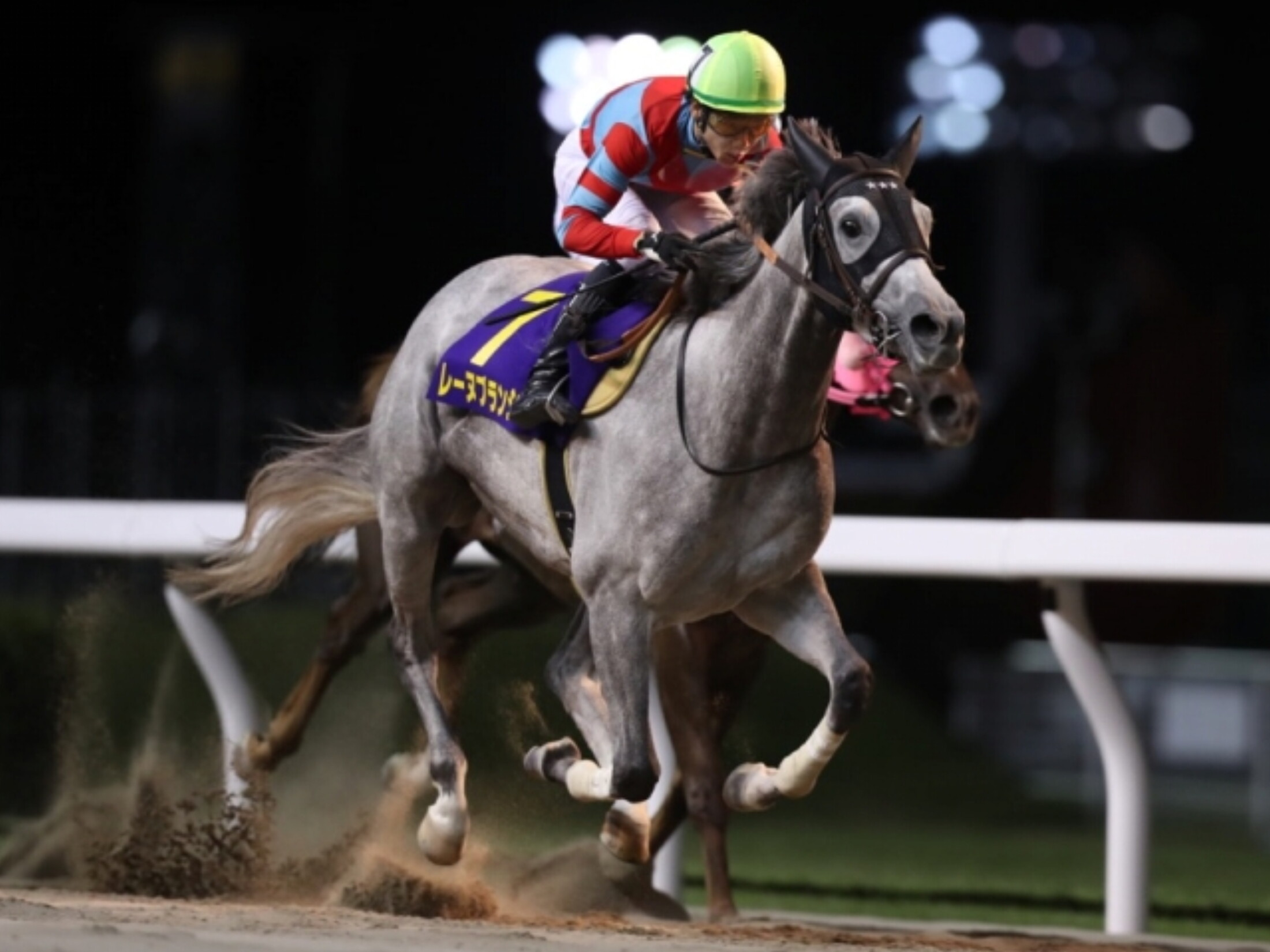 川崎 関東オークス結果 Jraレーヌブランシュが抜け出し重賞初v 2冠馬アクアリーブルは2着 Takeshi 鉄道と競馬が好き