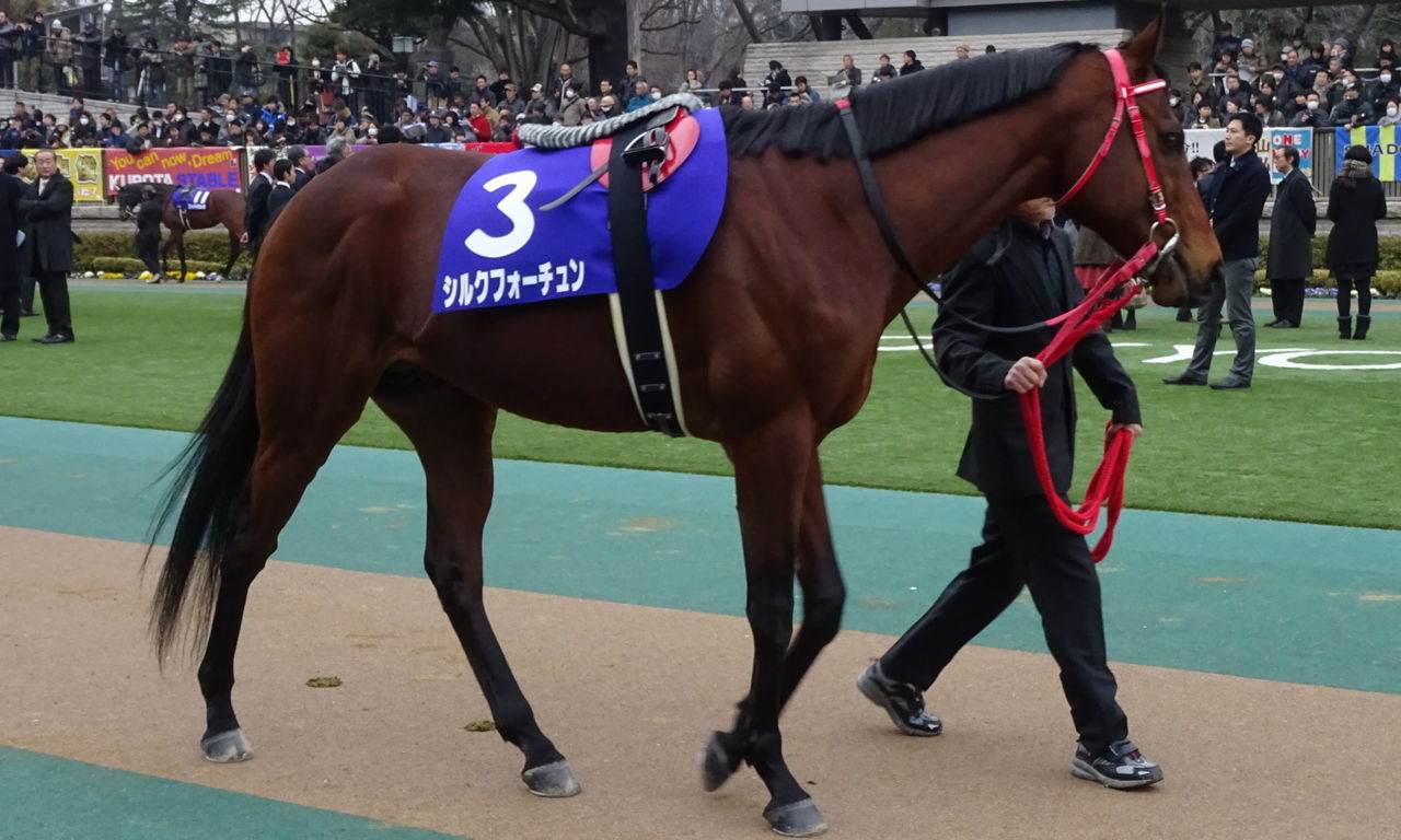 イメージ 15