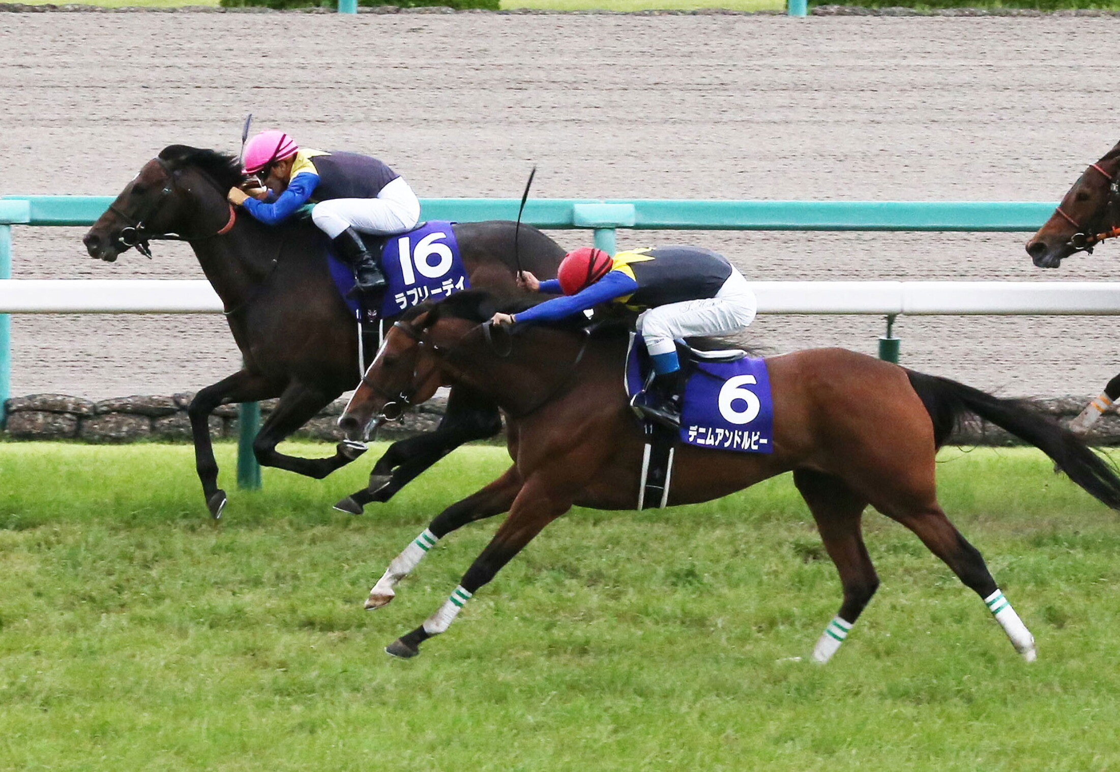 Takarazuka_Kinen_2015