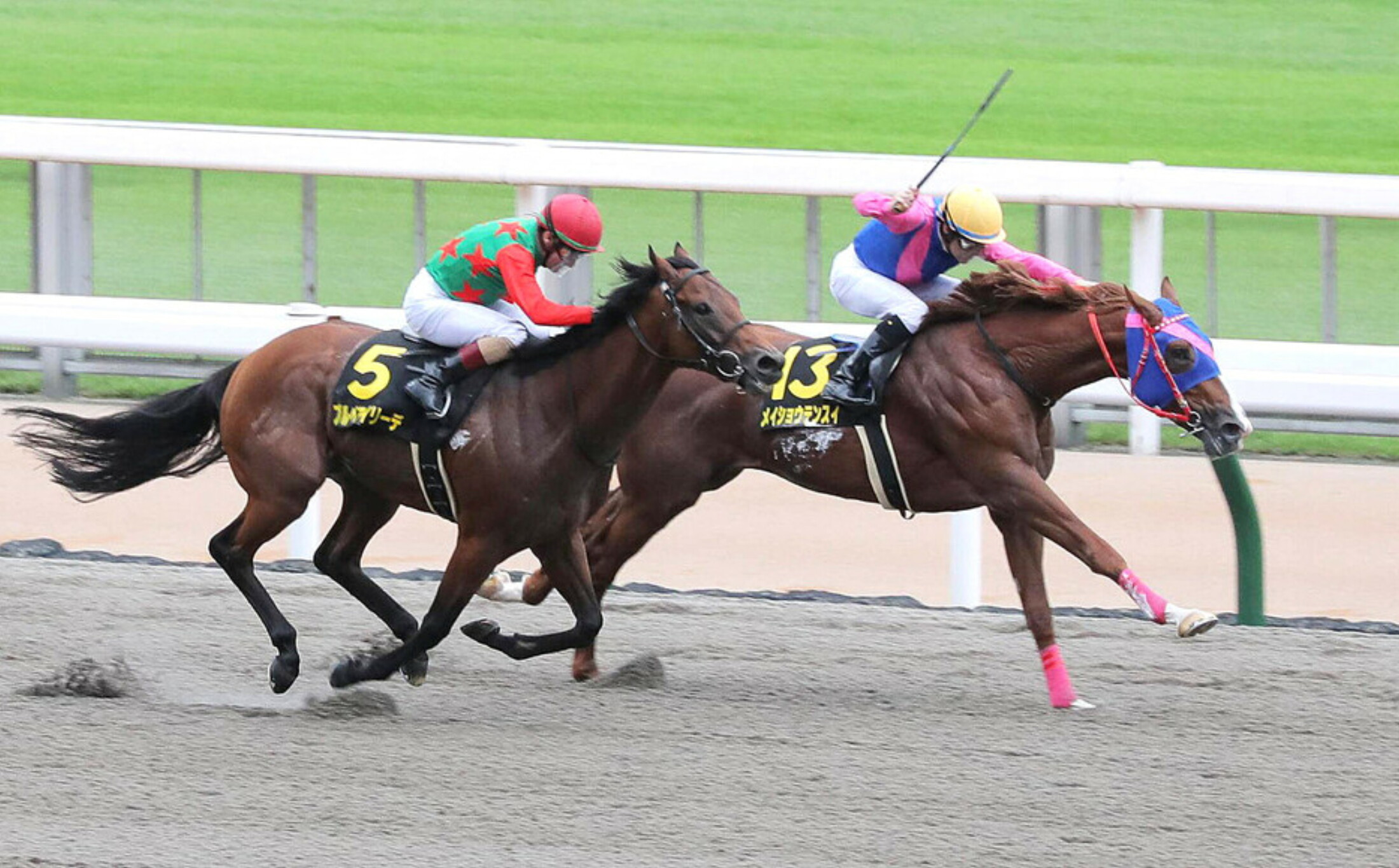 Green_Channel_Cup_2020