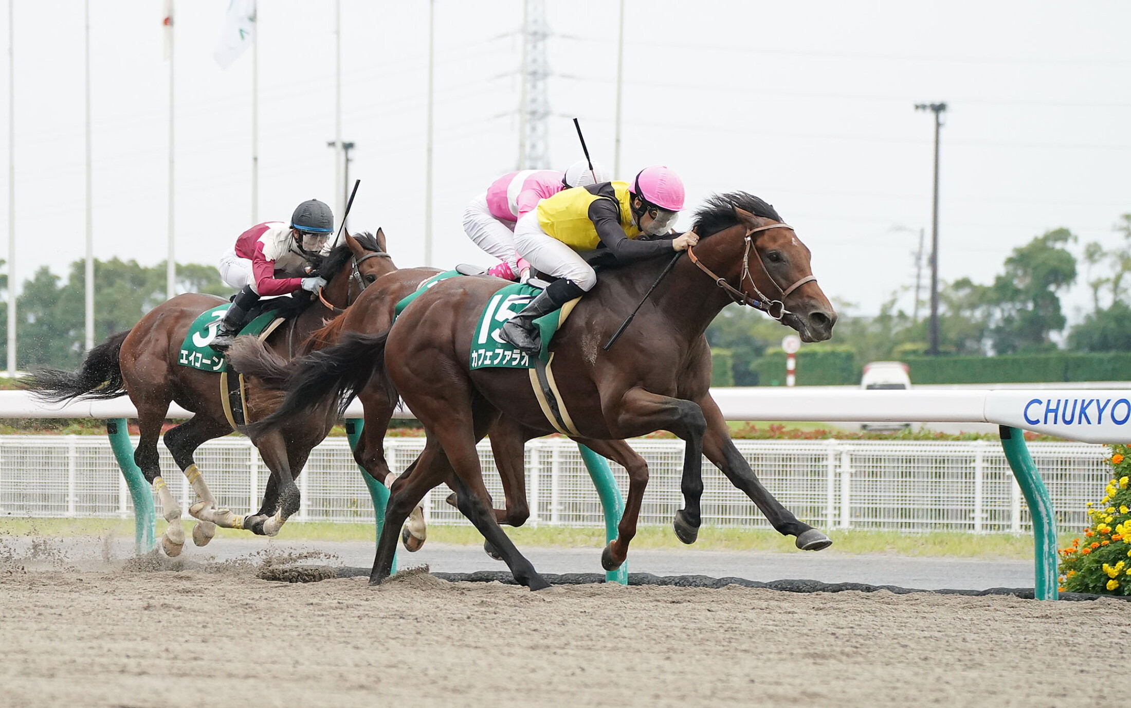 Sirius_Stakes_2020