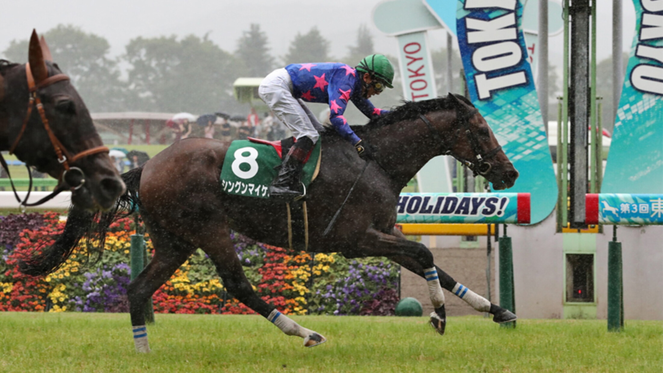 Tokyo_Jump_Stakes_2019