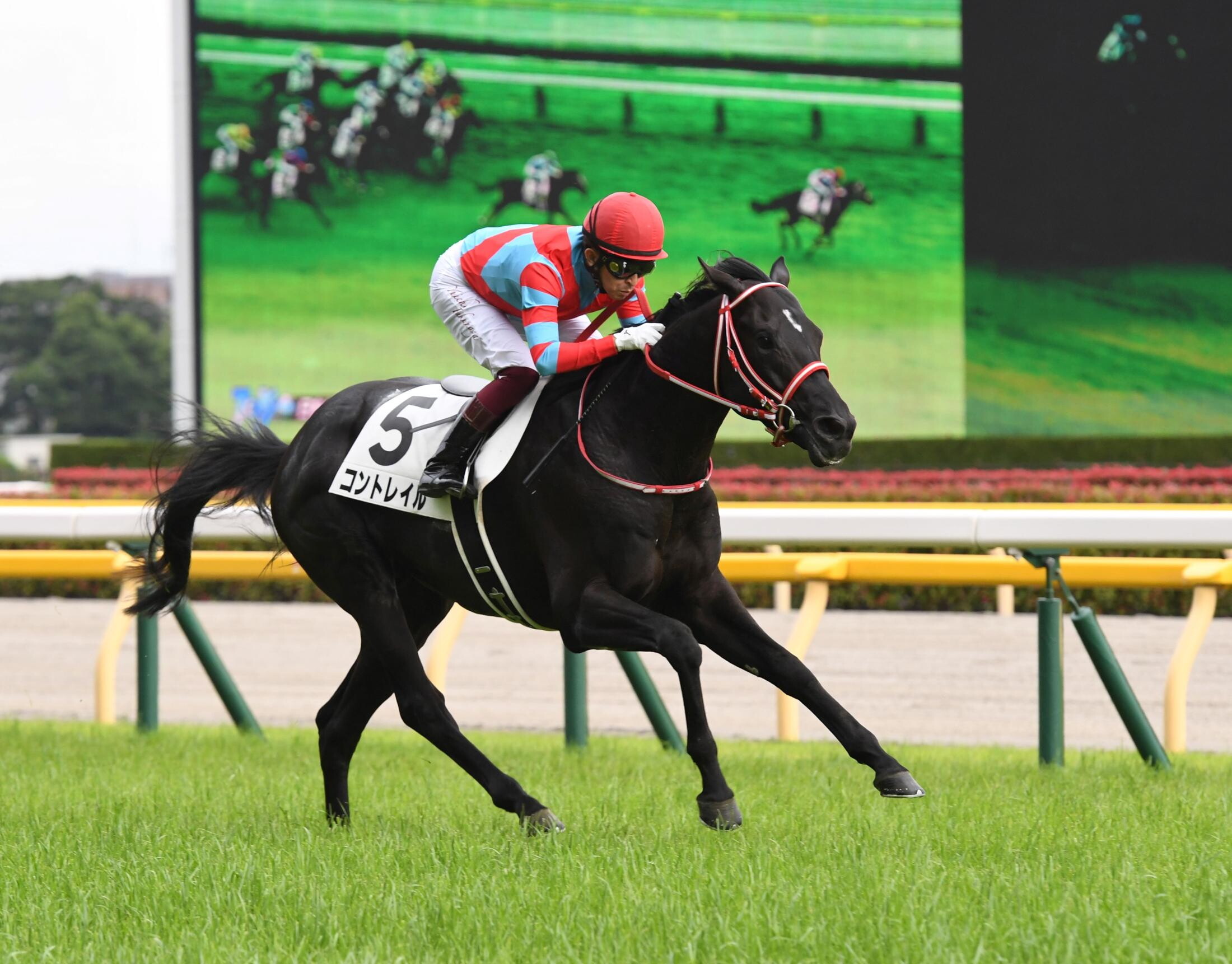 Fukunaga_Yuichi_with_Contrail(Nippon_Derby_2020)