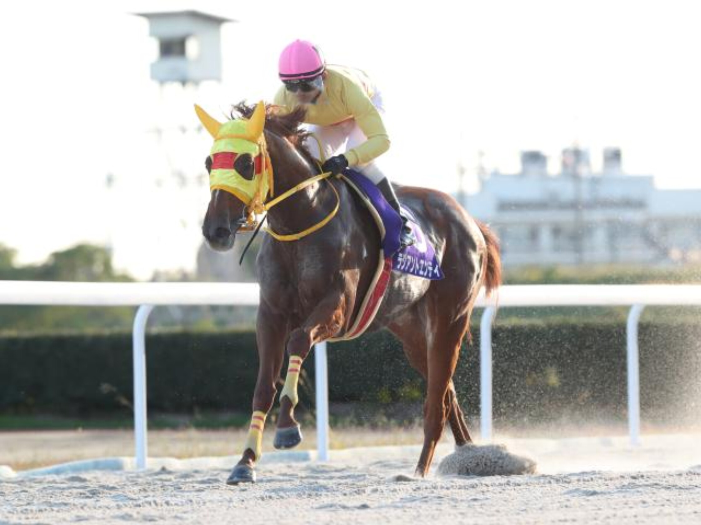 Love_Michan_Kinen_2020