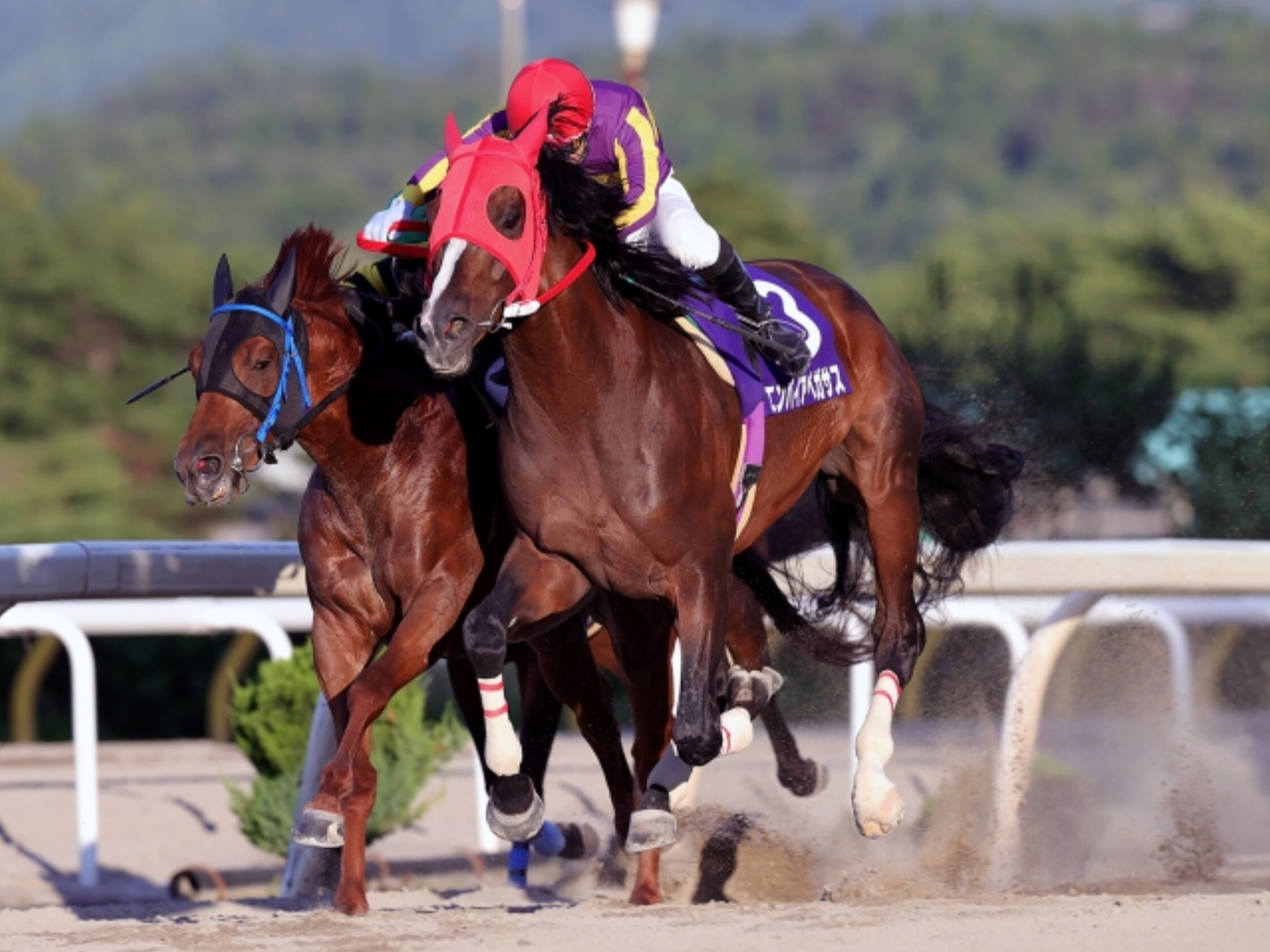 Ichijo_Kinen_Michinoku_Daishoten_2021