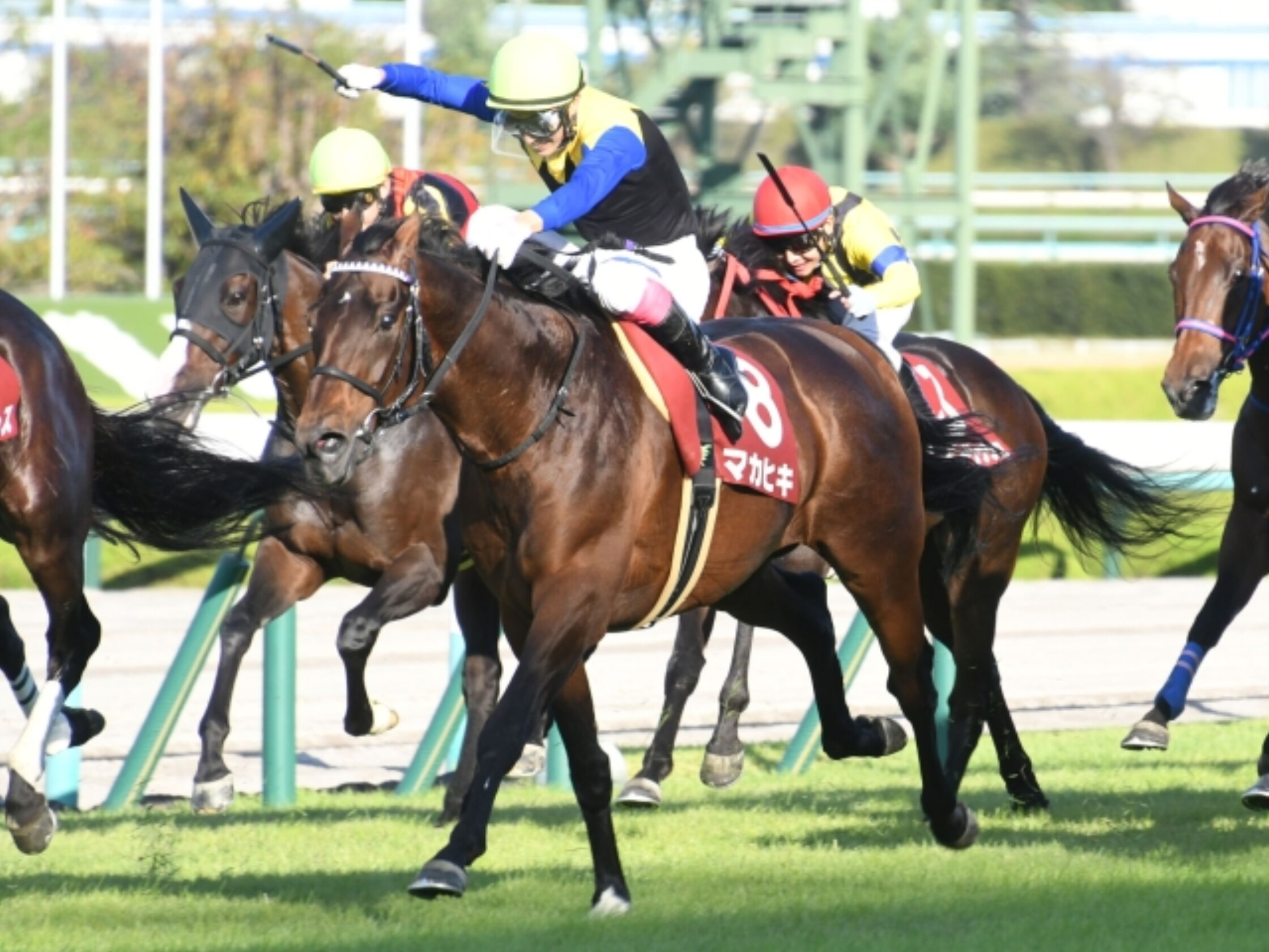 Kyoto_Daishoten_2021