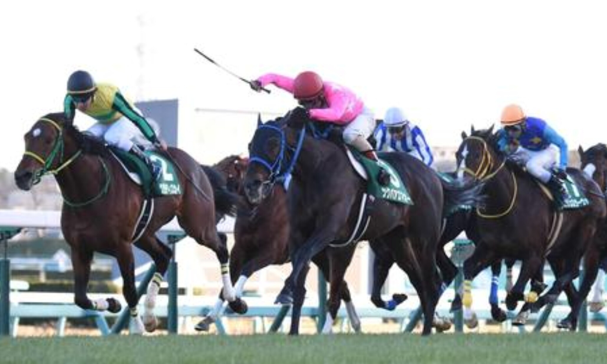 Nakayama_Kimpai_2017