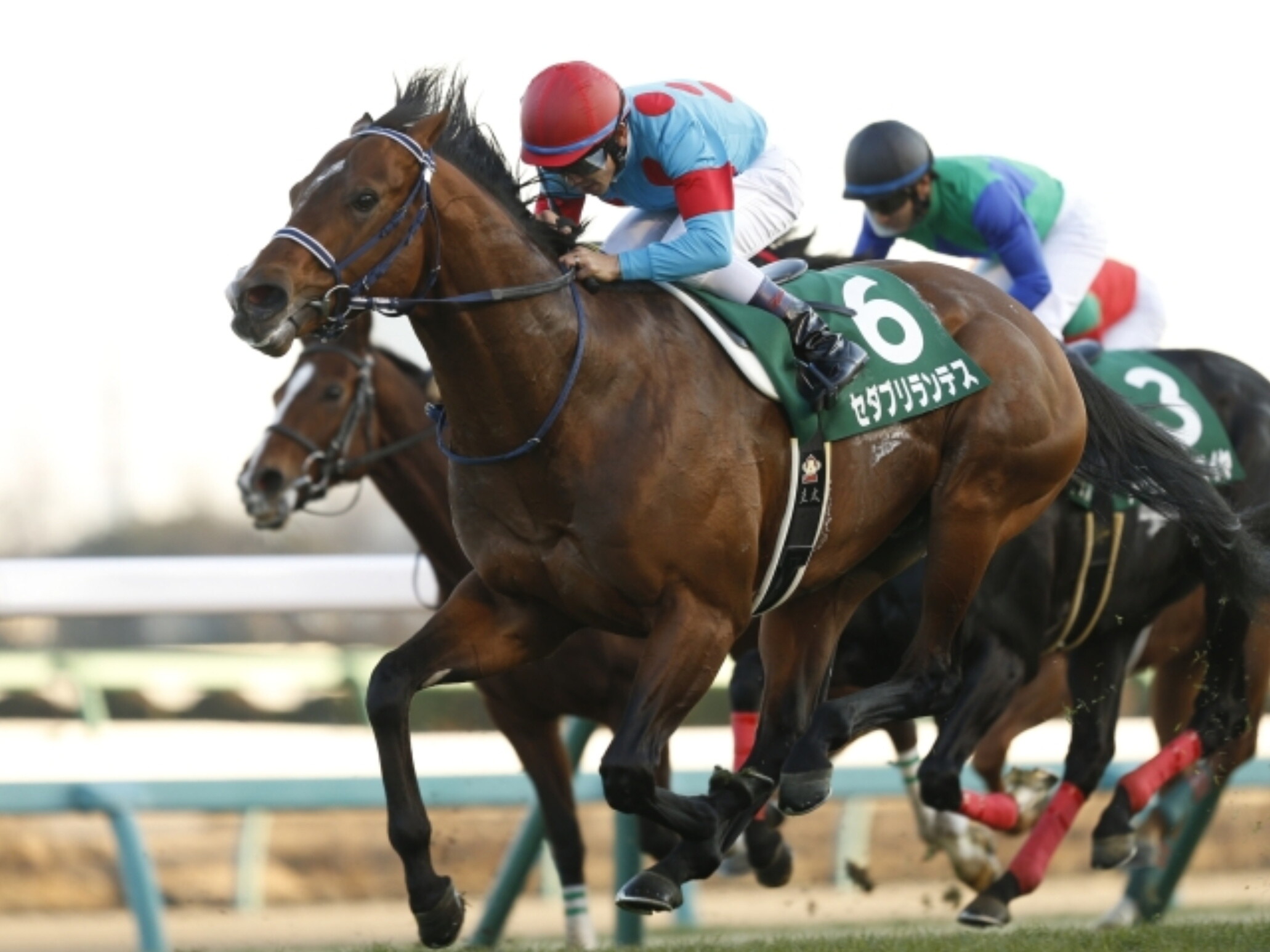 Nakayama_Gold_Cup_2018
