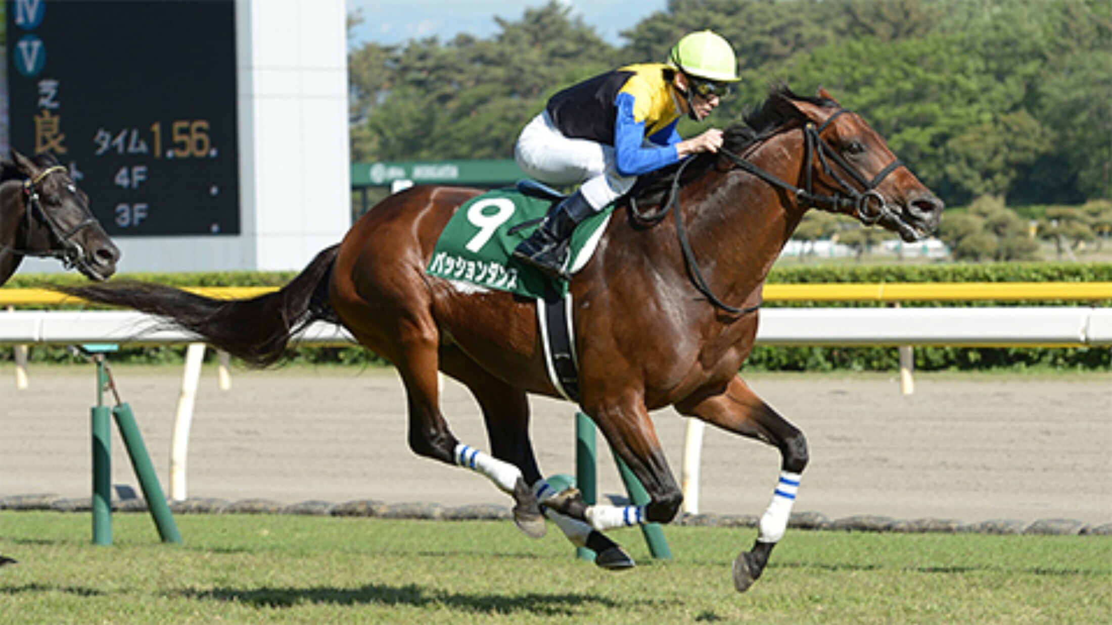 Tsumura_Akihide_with_Passion_Dance