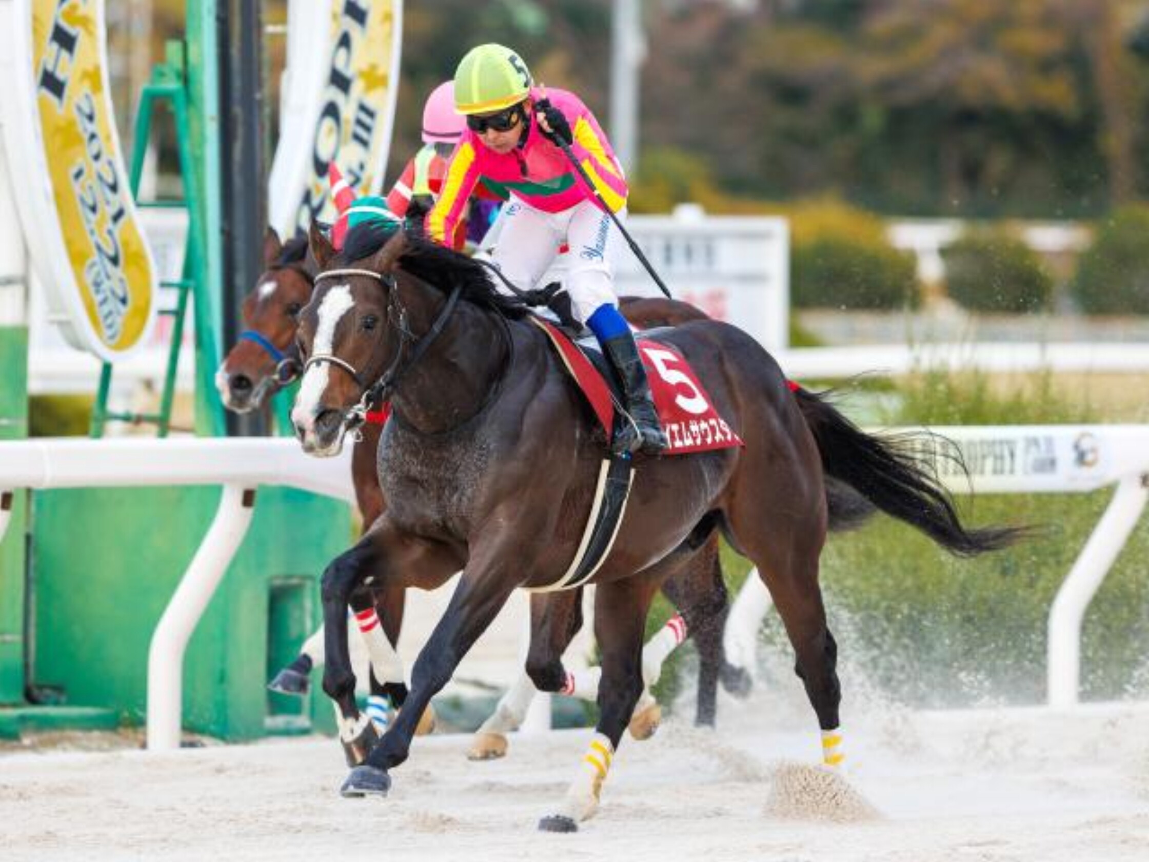 Hyogo_Gold_Trophy_2021