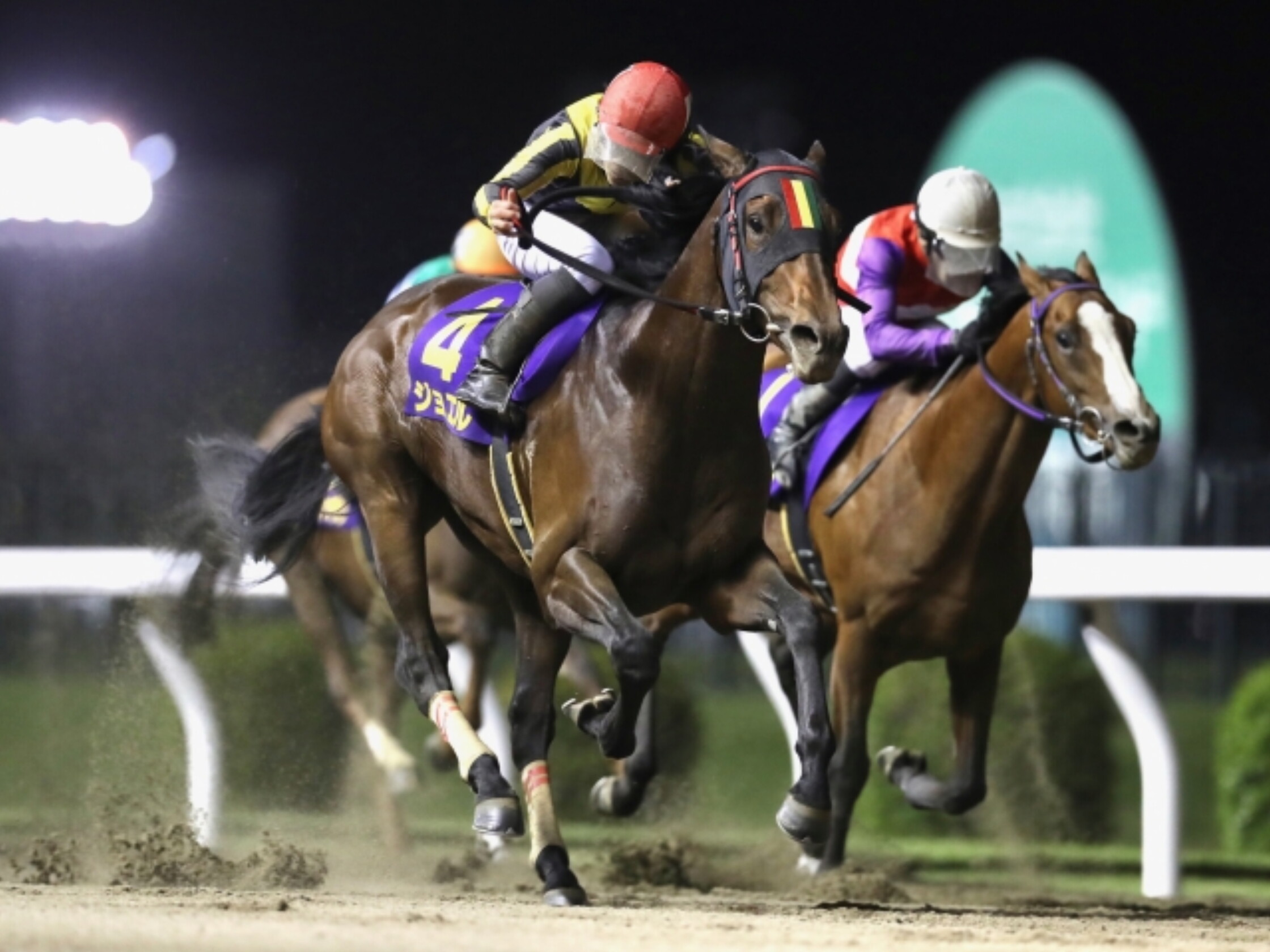 Clown_Cup(Tokyo_Derby_Trial)_2021