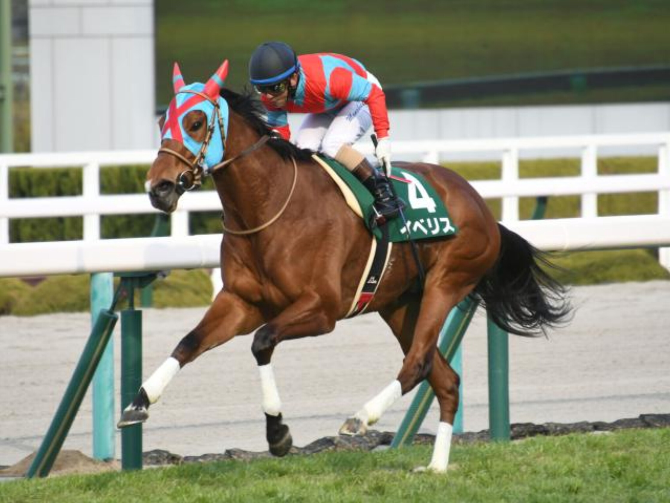 Kyoto_Mare_Stakes_2021