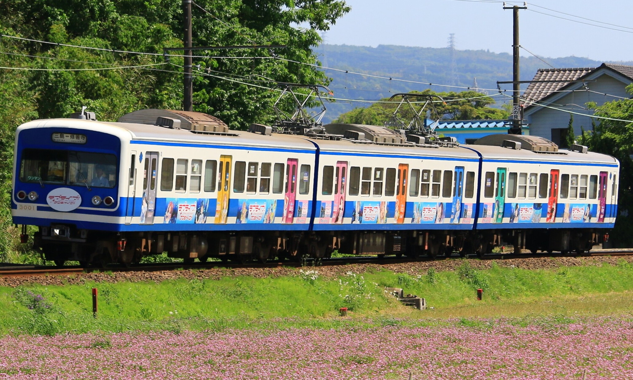 Izuhakone_Railway_Sunzu_Line_3000_Series