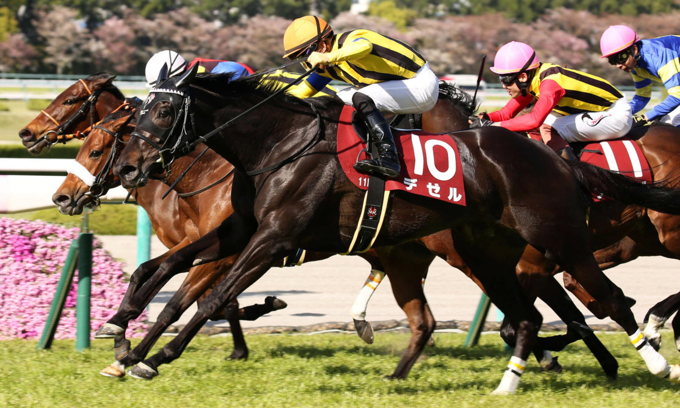 Hanshin_Himba_Stakes_2021