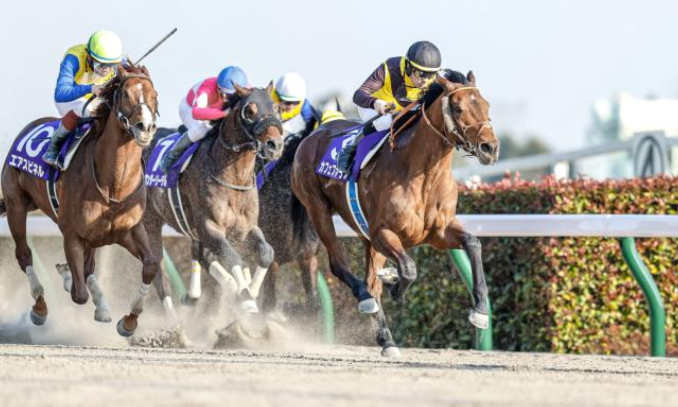 February_Stakes_2021