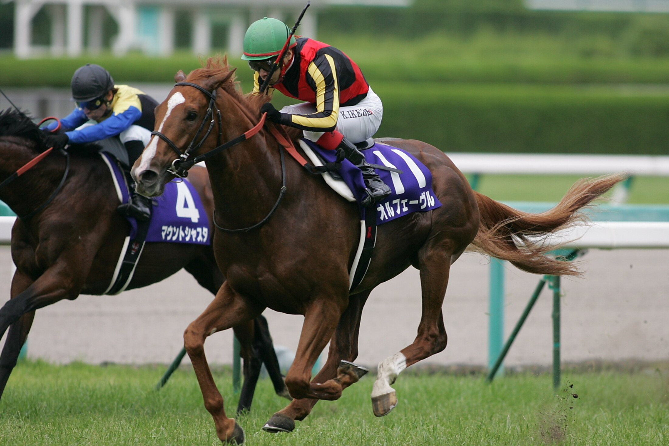 Takarazuka_Kinen_2012