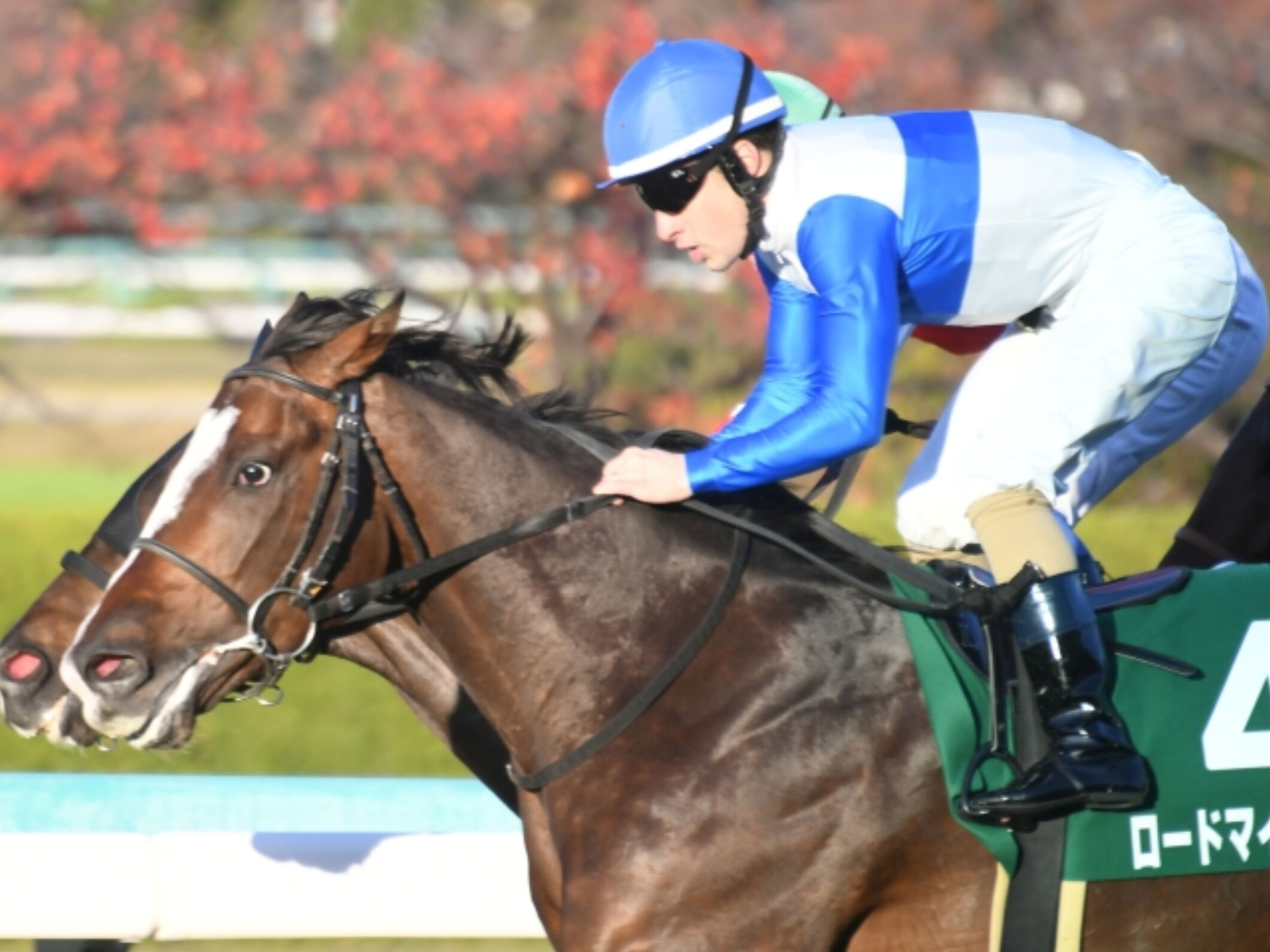 Christophe_Patrice_Lemaire_with_Lord_My_Way