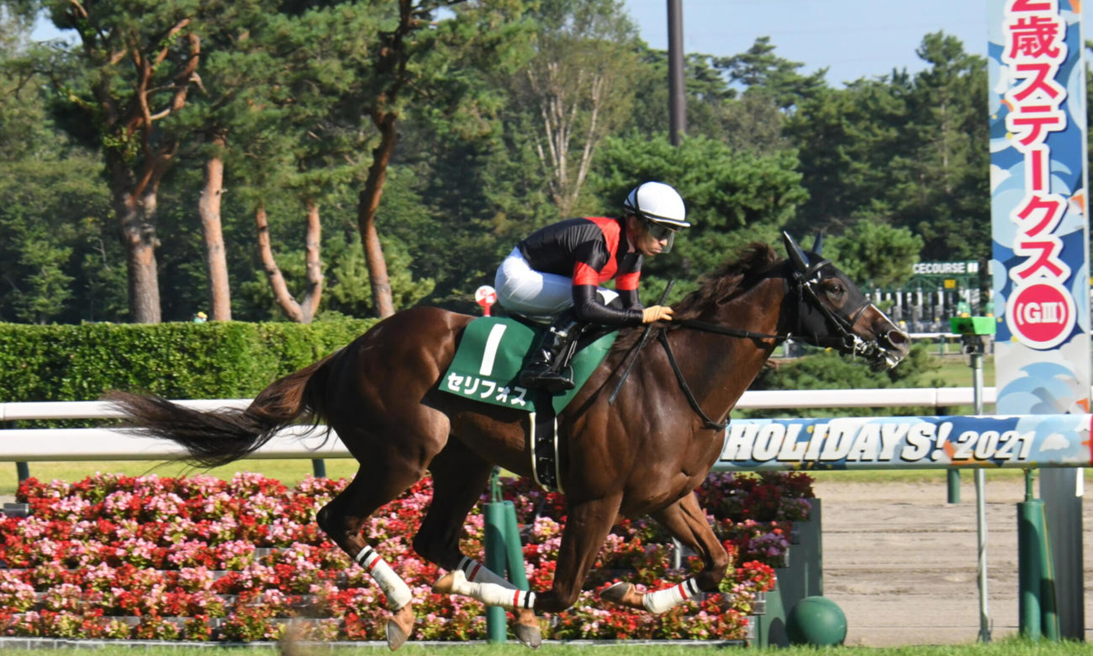 Niigata_nisai_Stakes_2021